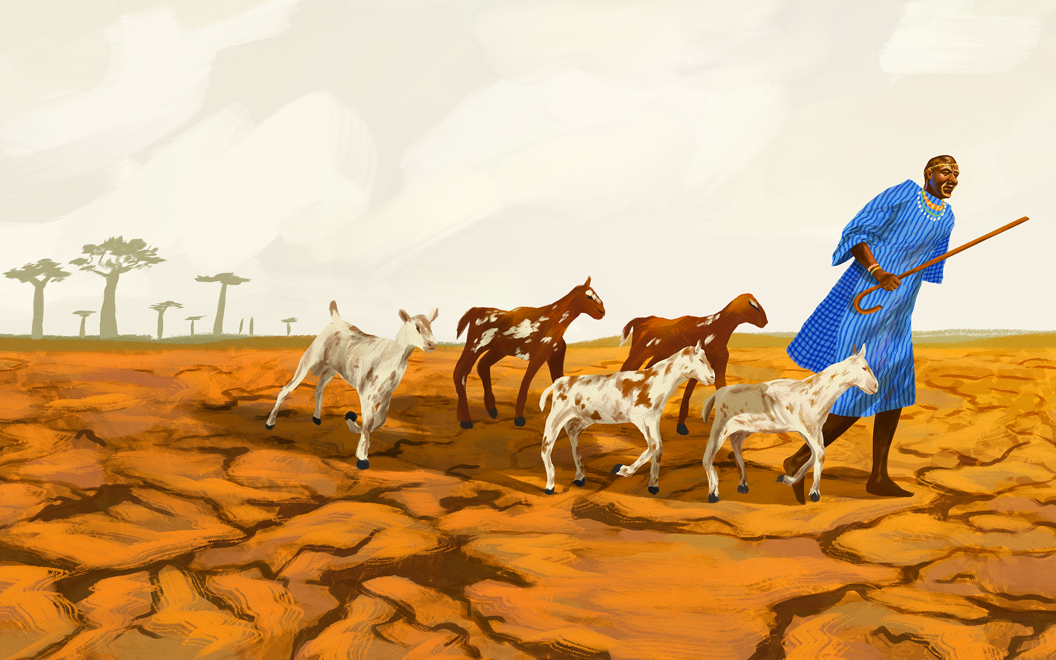 Editorial illustration of a joyful african man in traditional blue dress herding young goats across a cracked orange landscape with baobab trees on the horizon
