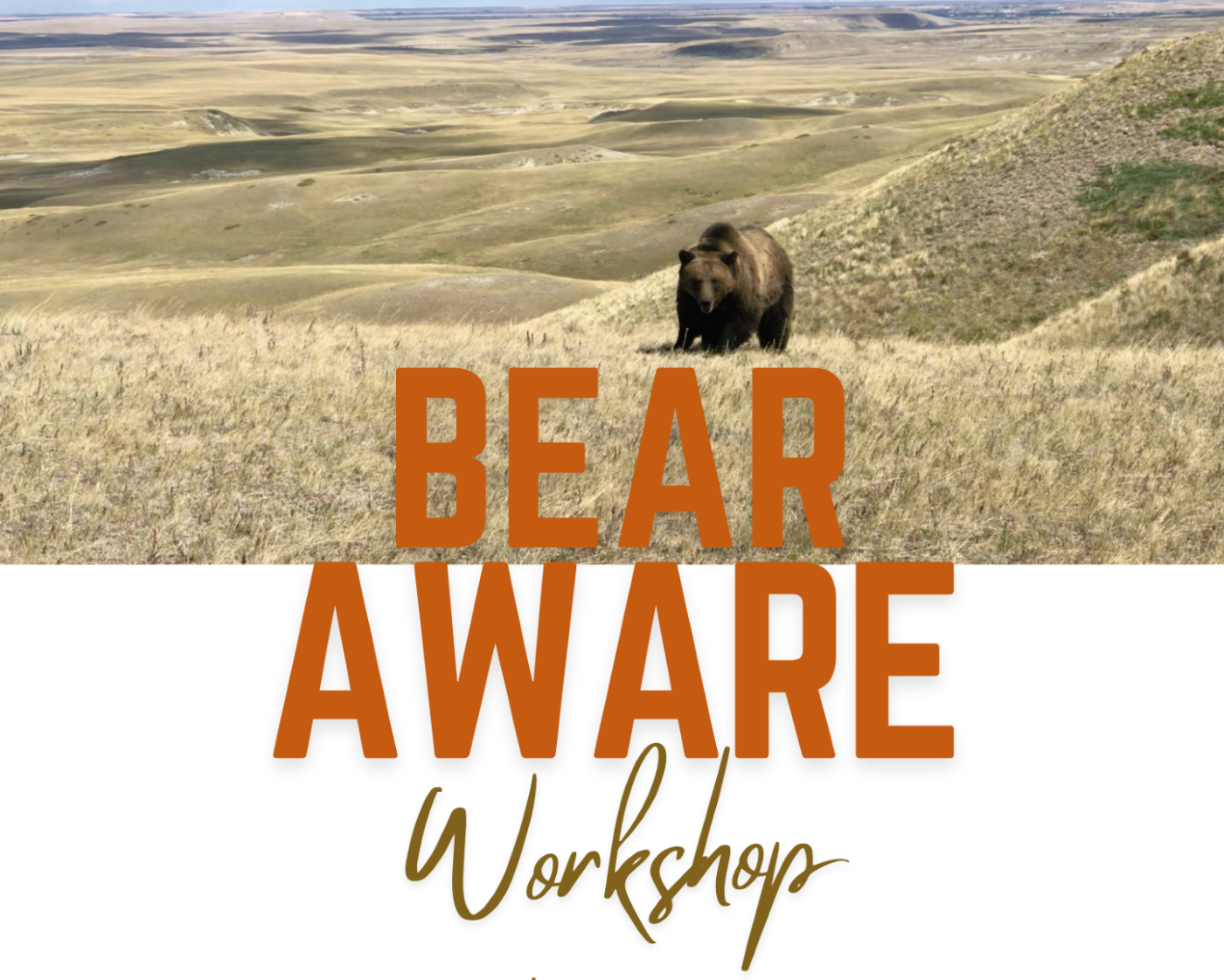 Bear Aware Workshop