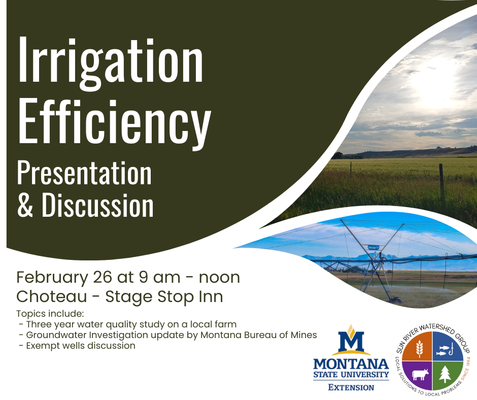 Irrigation Efficiency Presentation & Discussion