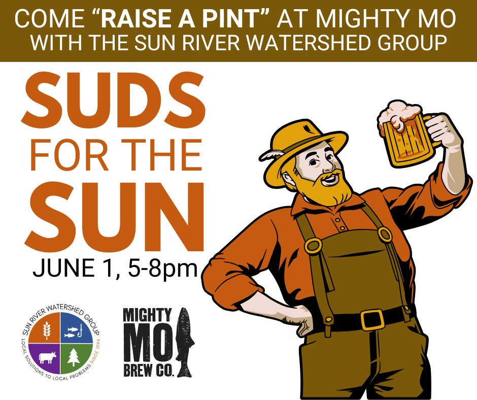 Suds for the Sun - Raise A Pint
