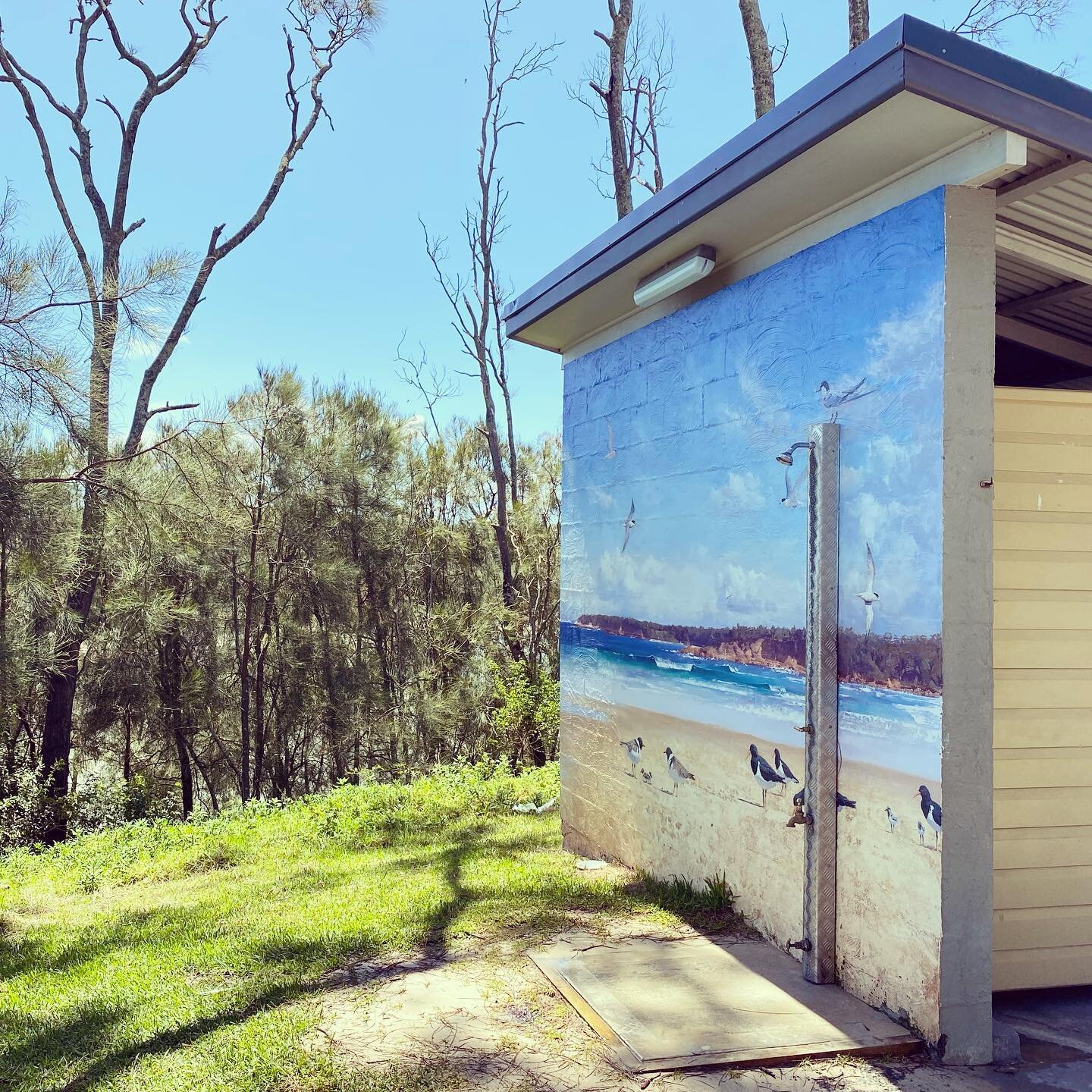 Art imitating life #art #australia #beach #caravanpark #coast #mural #outdoorshower #painting #southcoast #streetart