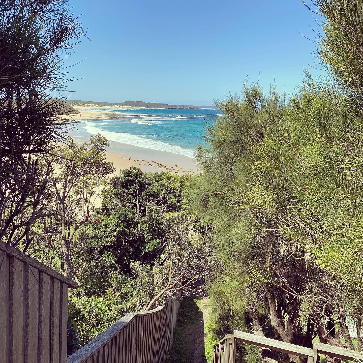 Summertime and the livin' is easy - Ella Fitzgerald #australia #beach #blue #coast #holidays #landscape #nature #ocean #sea #southcoast #stairs #summer #trees #vacation #water #waves