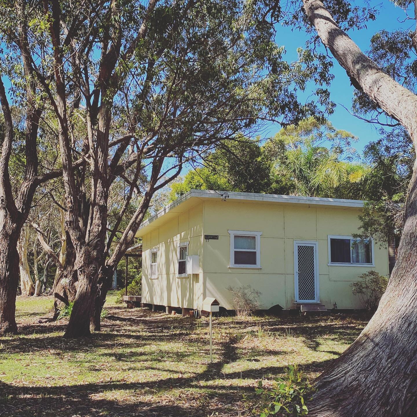 Winking face #architecture #australia #australiana #beachshack #cottage #facade #house #lemon #pastel #shack #southcoast #suburban #trees #yellow