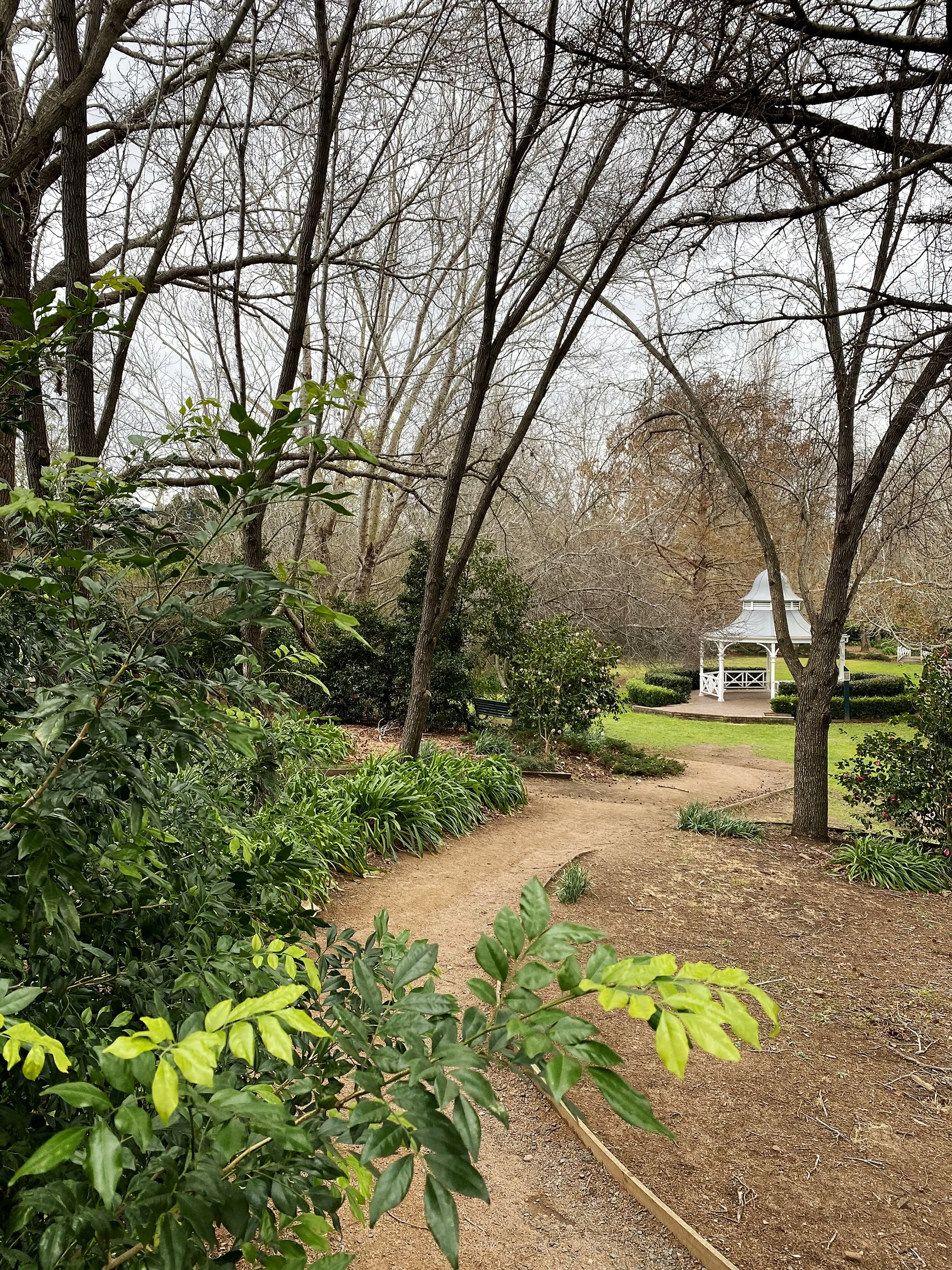 ROAD TRIP   //   berry