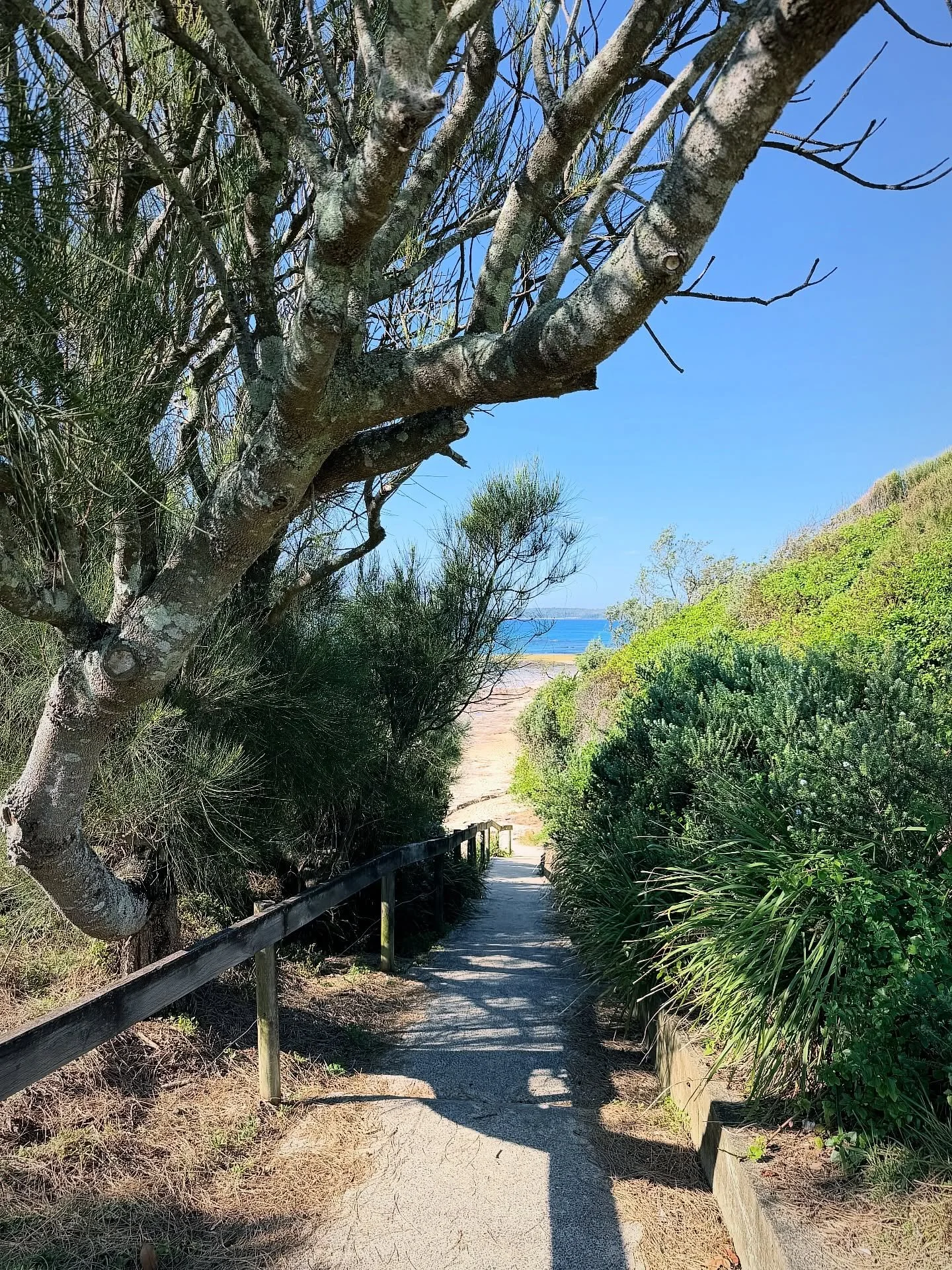 Summer snaps #australia #beach #holidays #ocean #southcoast