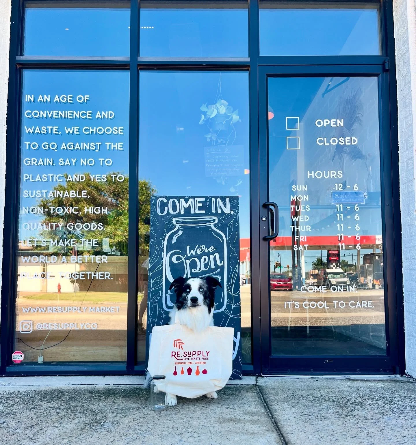 Shopping sustainably is so easy, even a dog can do it (: