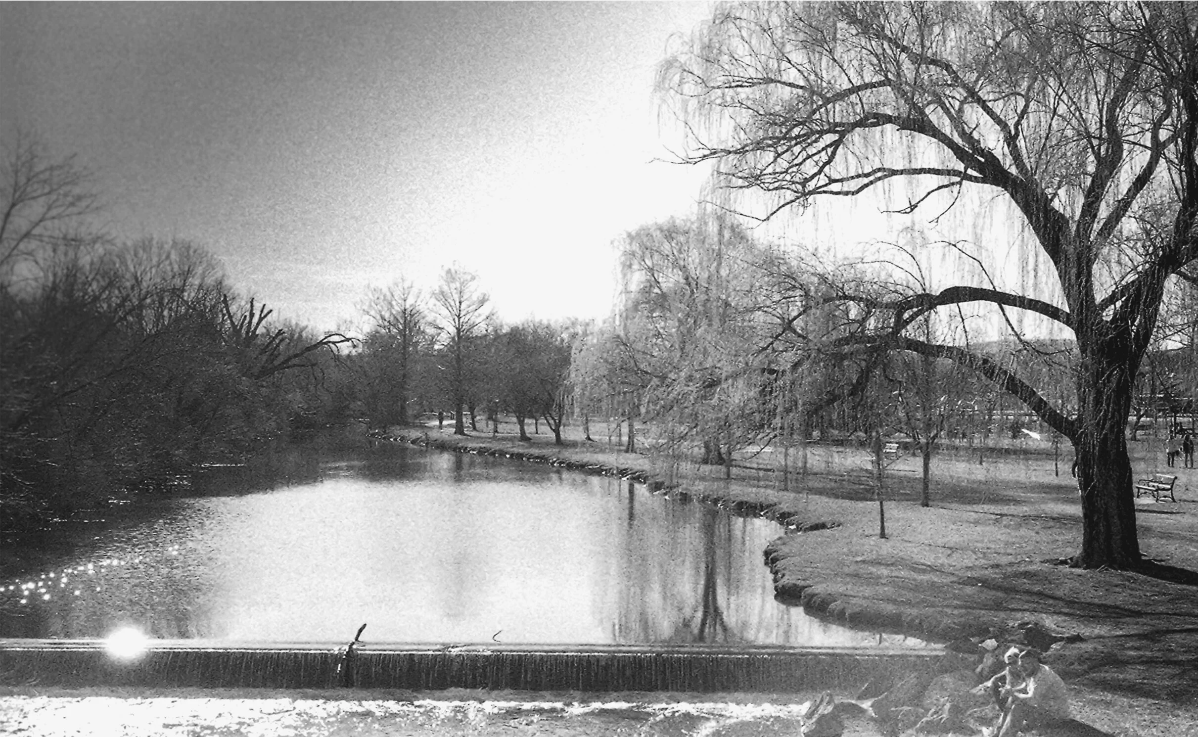 Baker Park - late in the day