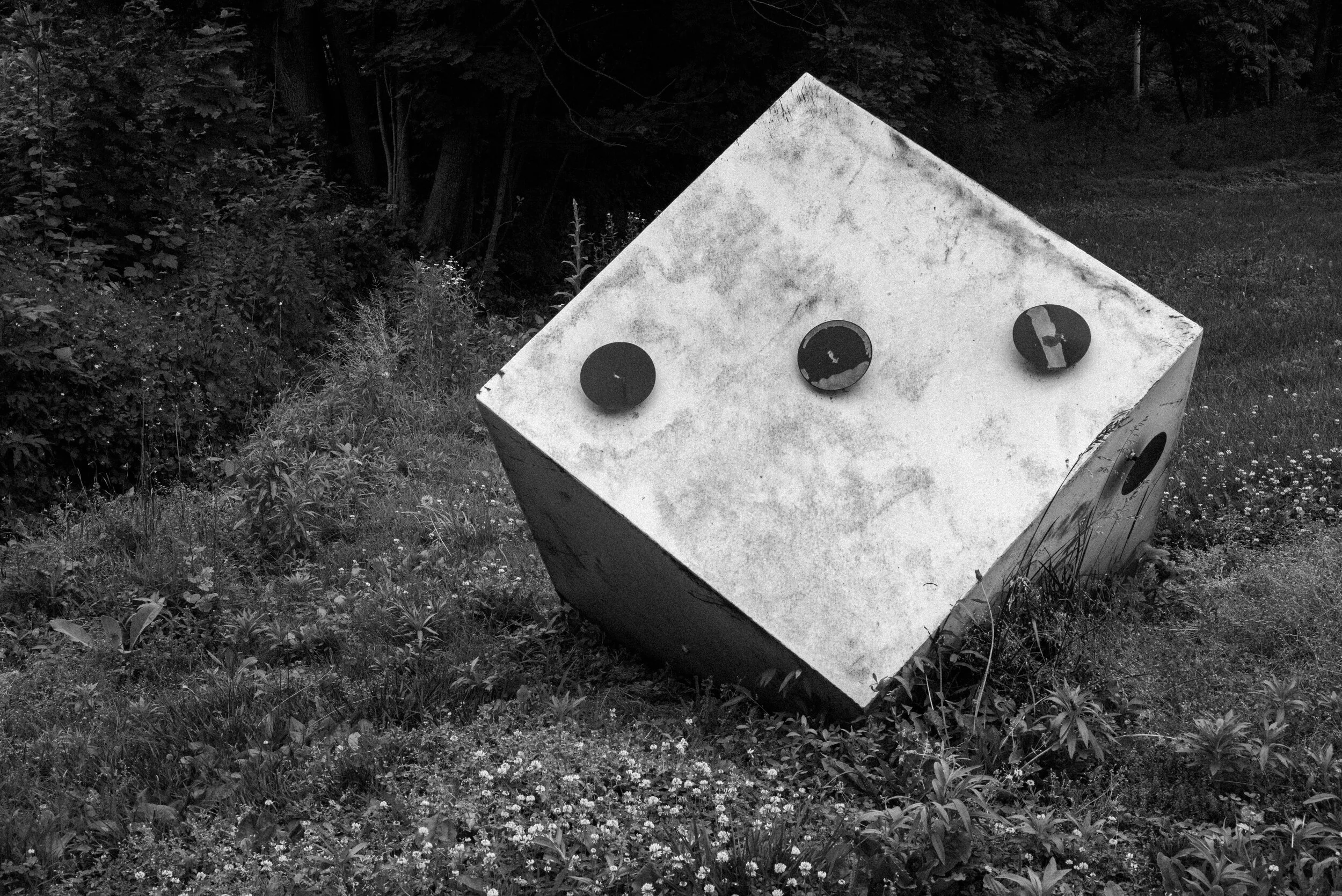 Throw of the dice #2