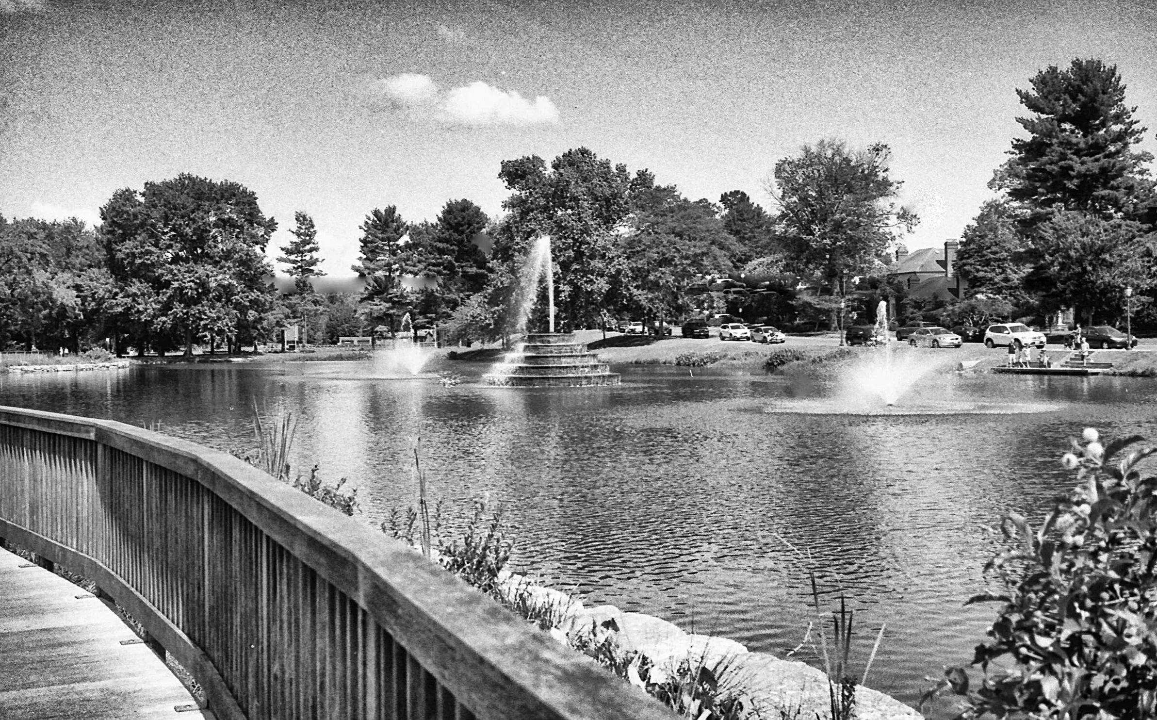 the nature walk at Baker Park