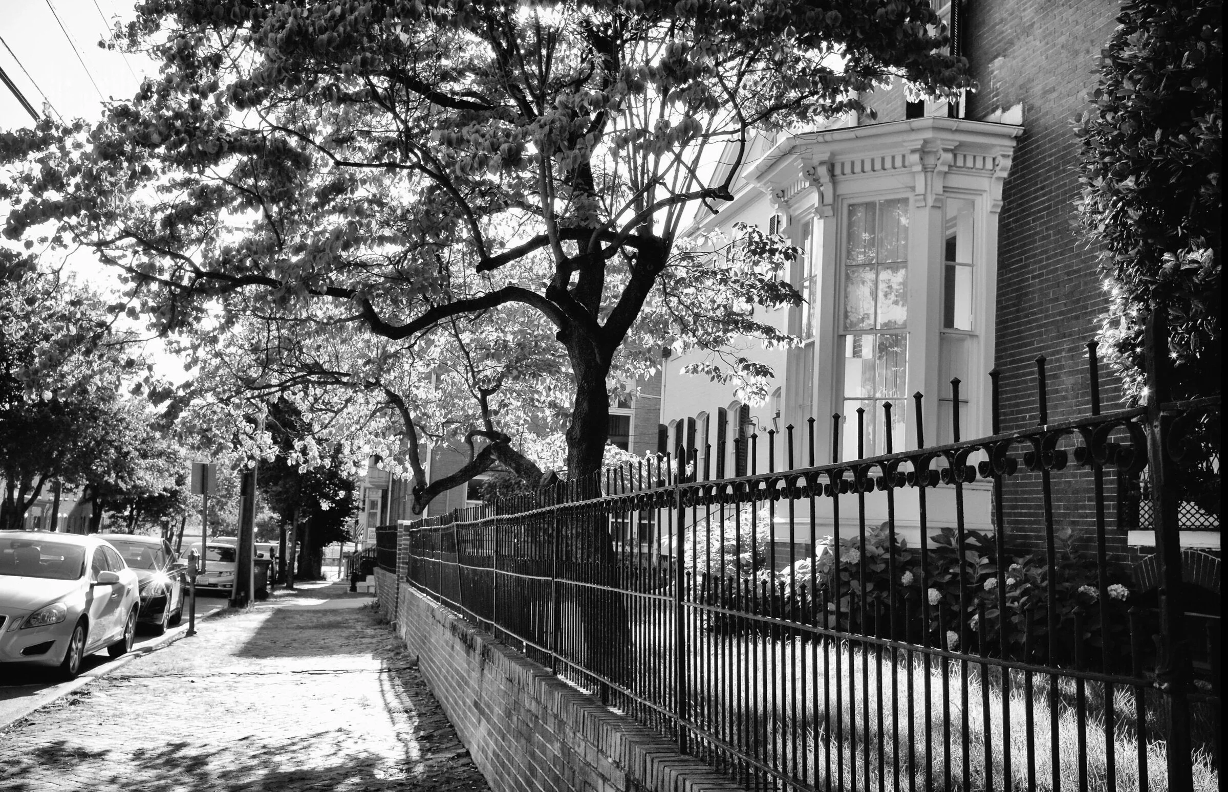 on the road to downtown