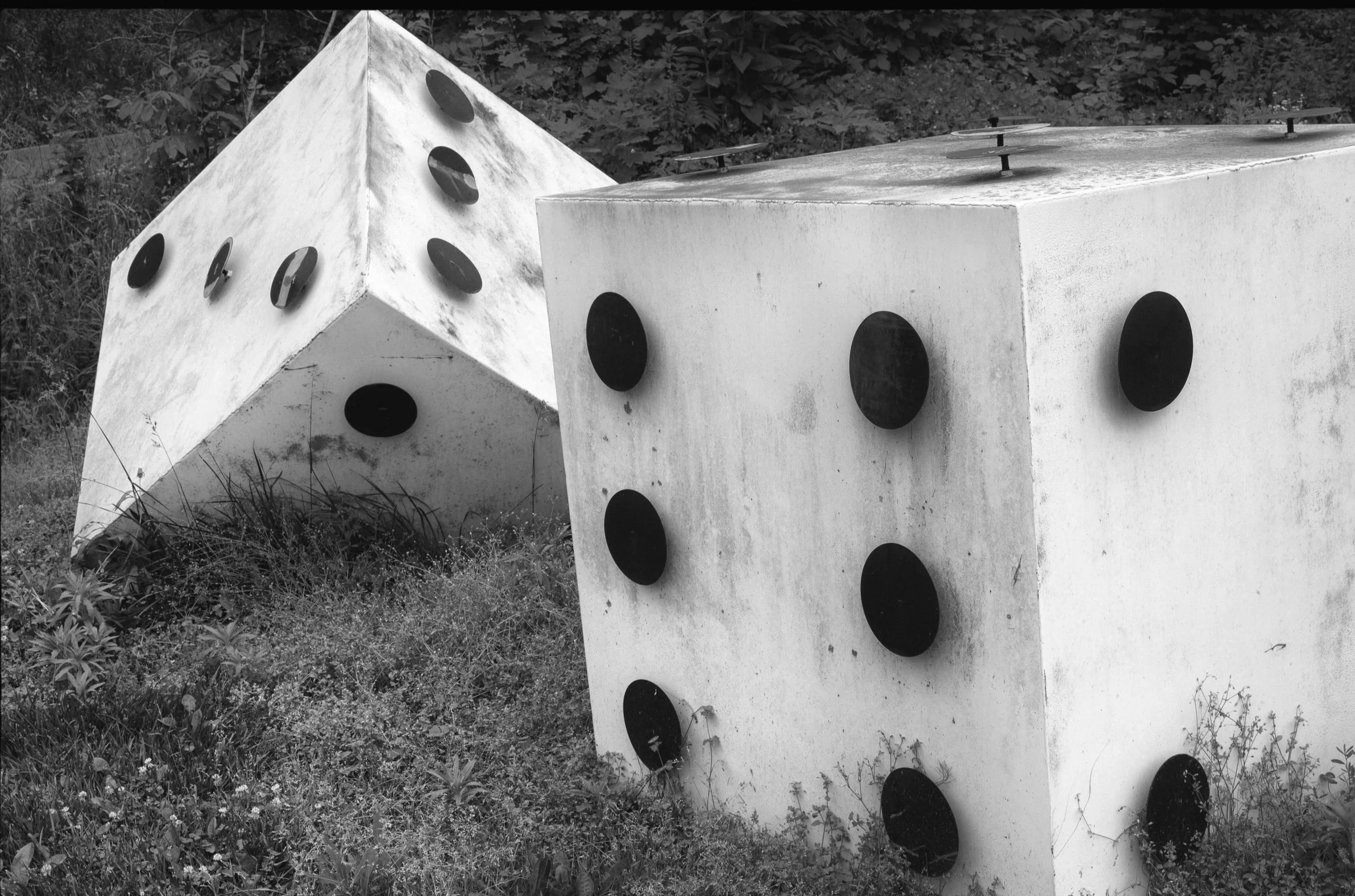 Throw of the dice #1