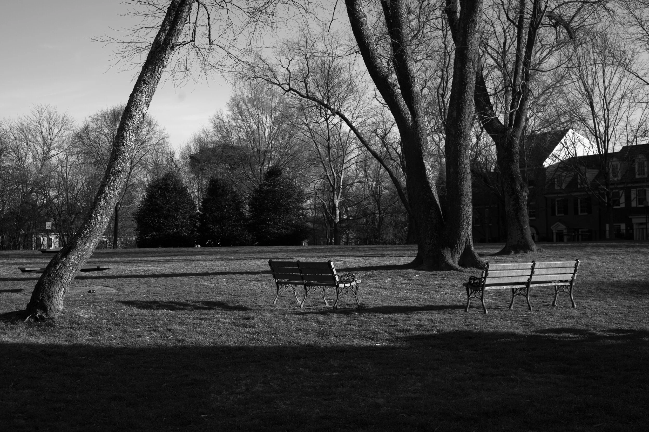 Peaceful place - 2 empty benches
