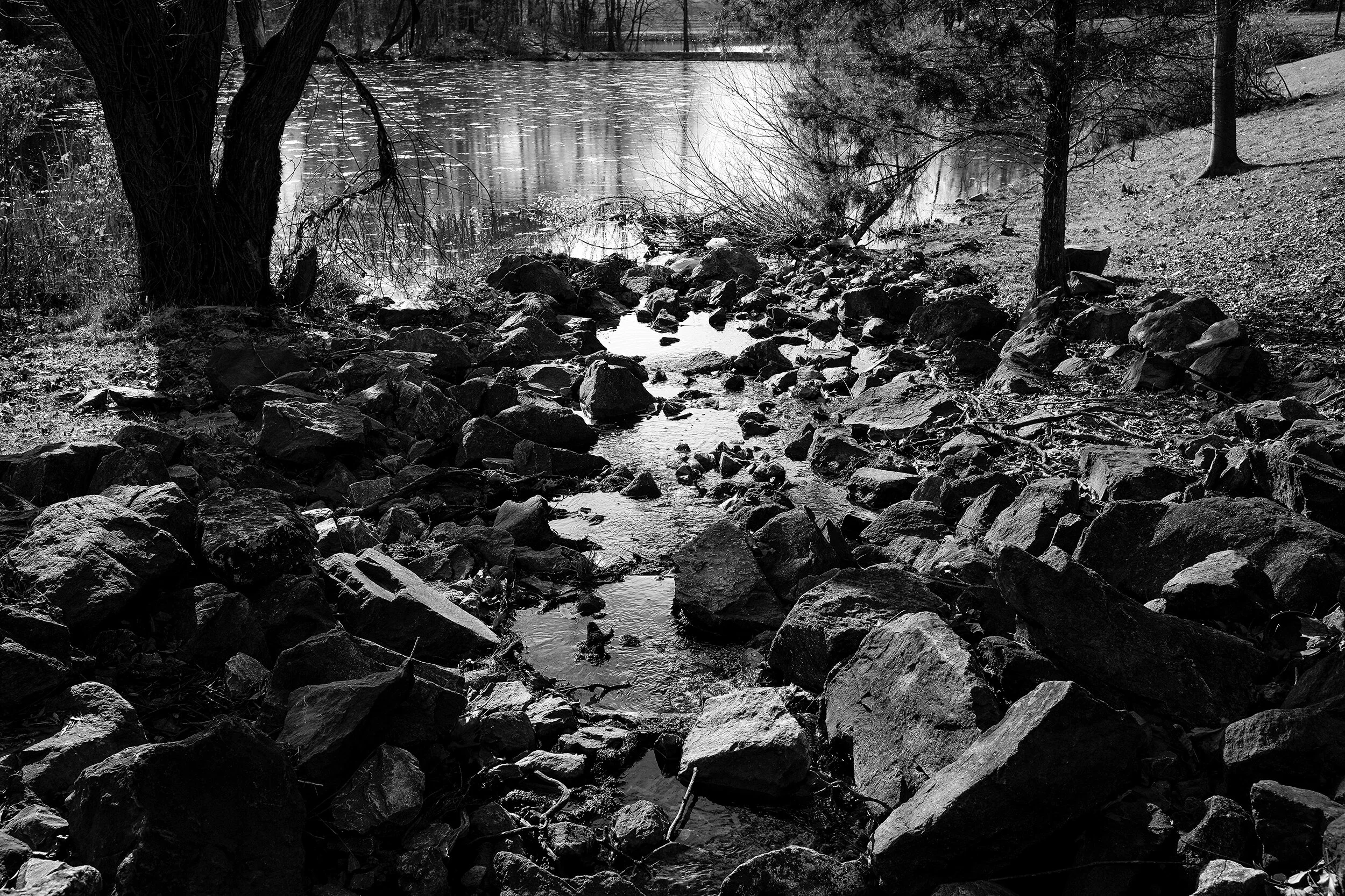 Kentlands Lake and rocks