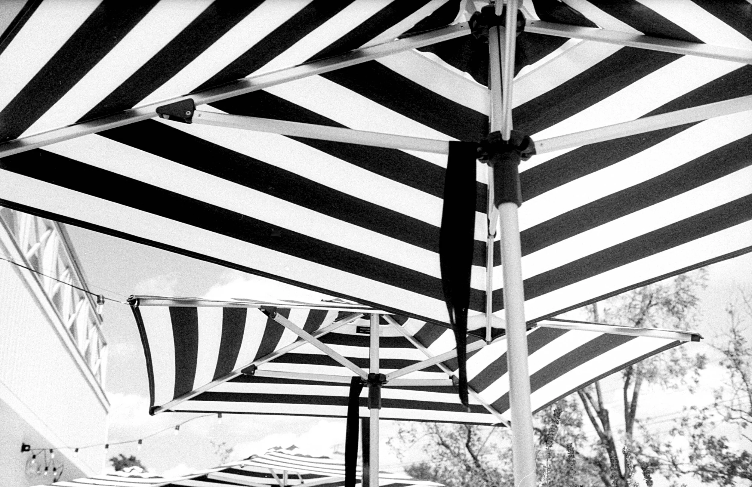 black and white umbrellas