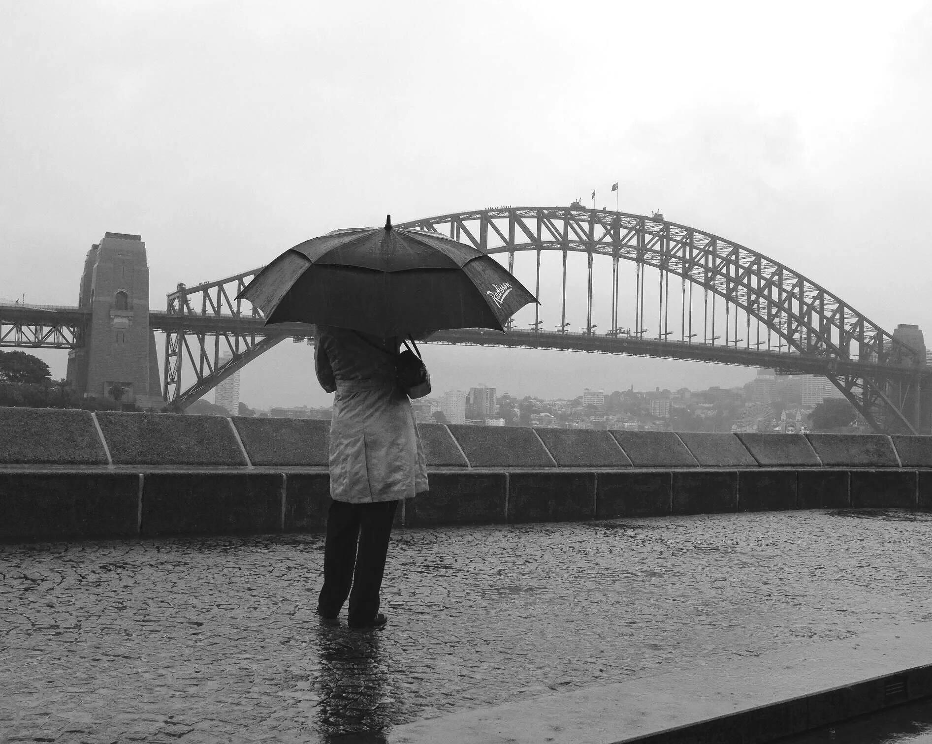 admiring the view of Sydney harbour