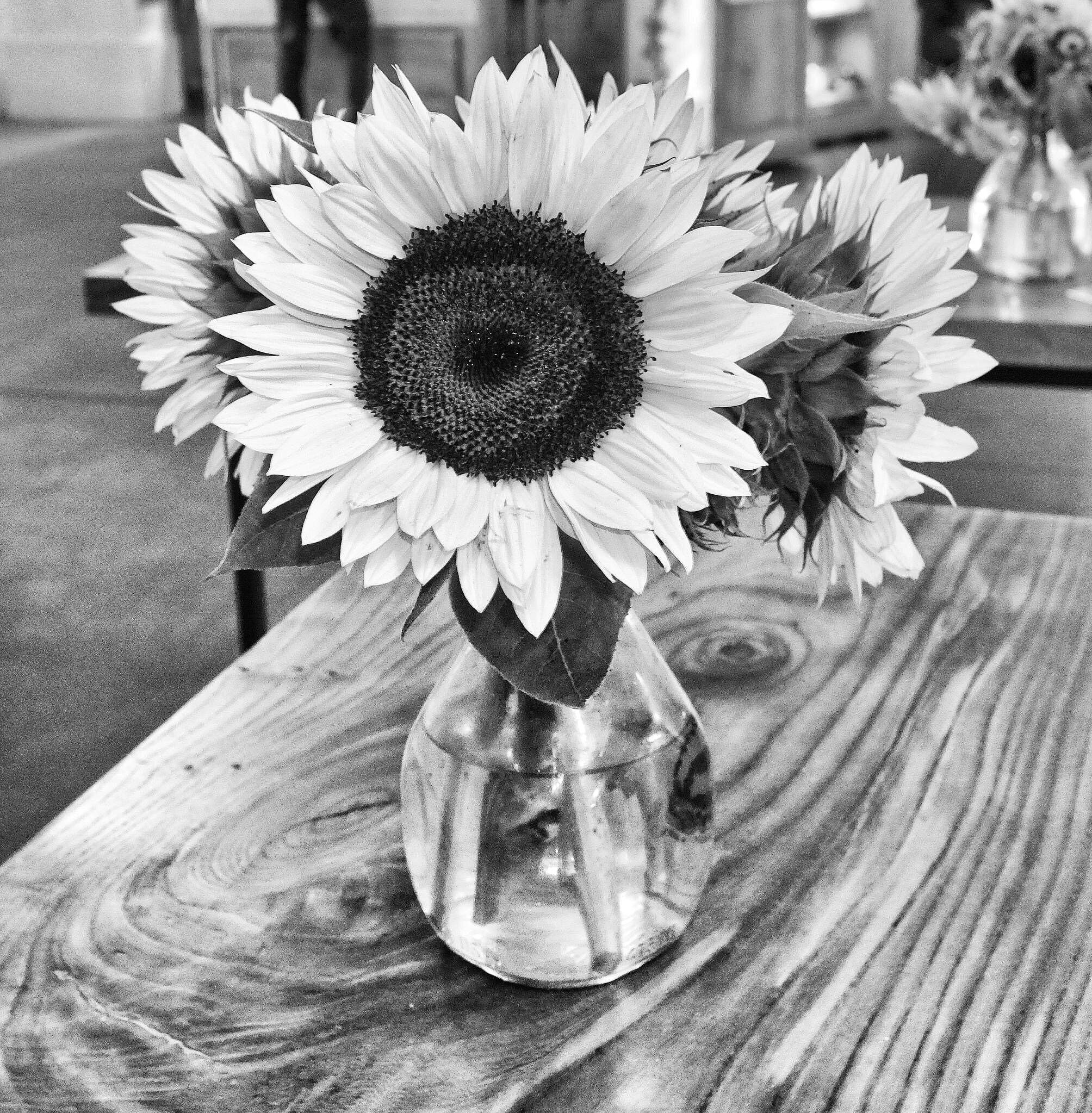 Sunflower decor