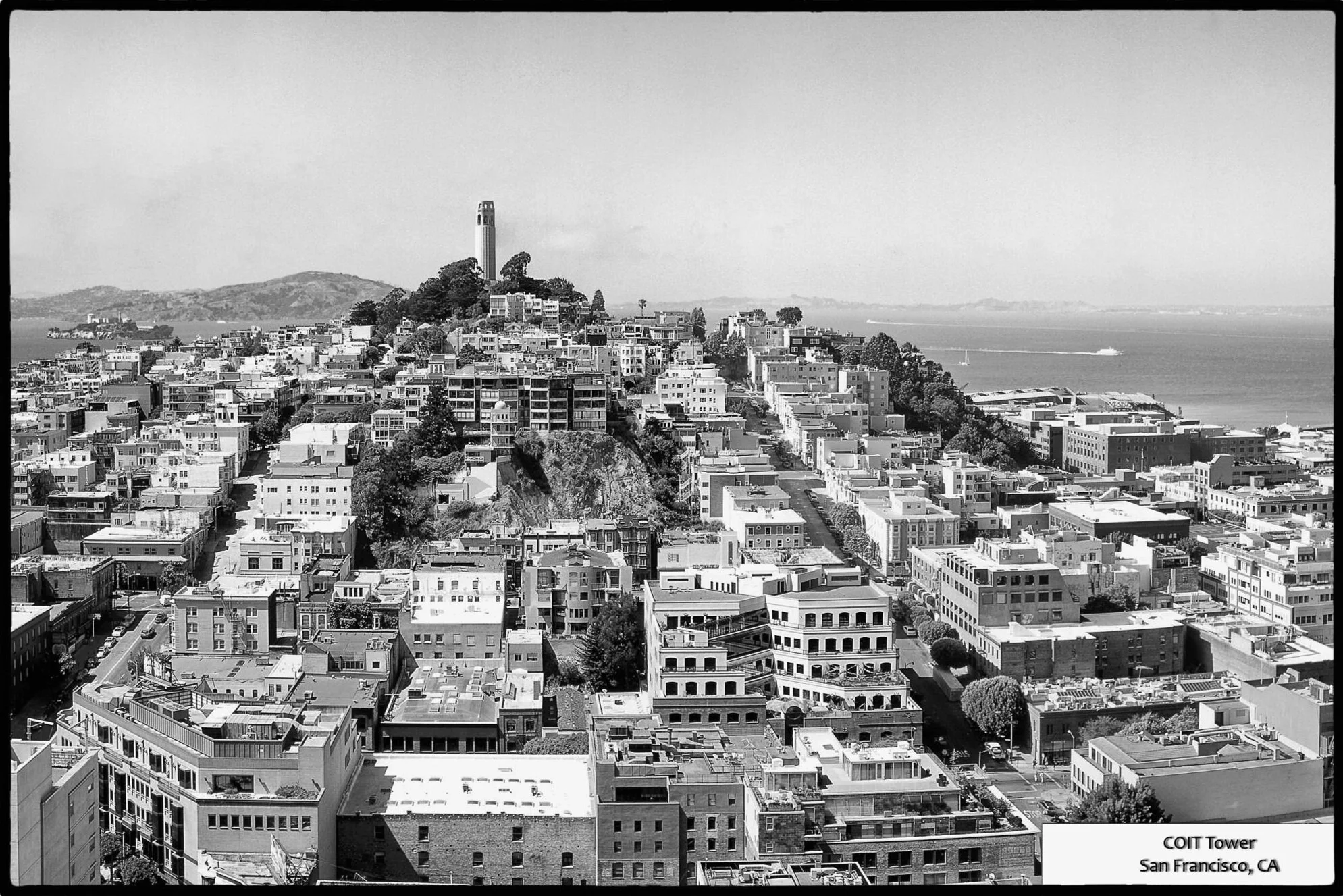 Coit tower and surrounding houses