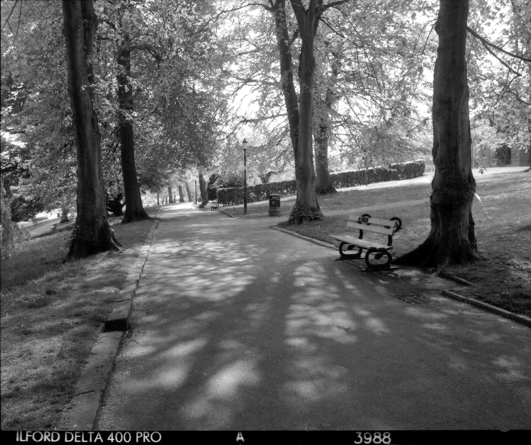 a quiet afternoon at the park