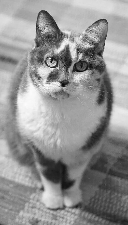 It's time for dinner