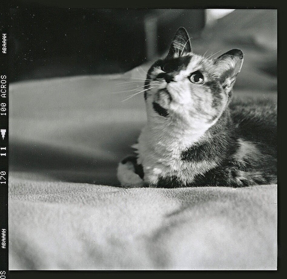 talking to the angels