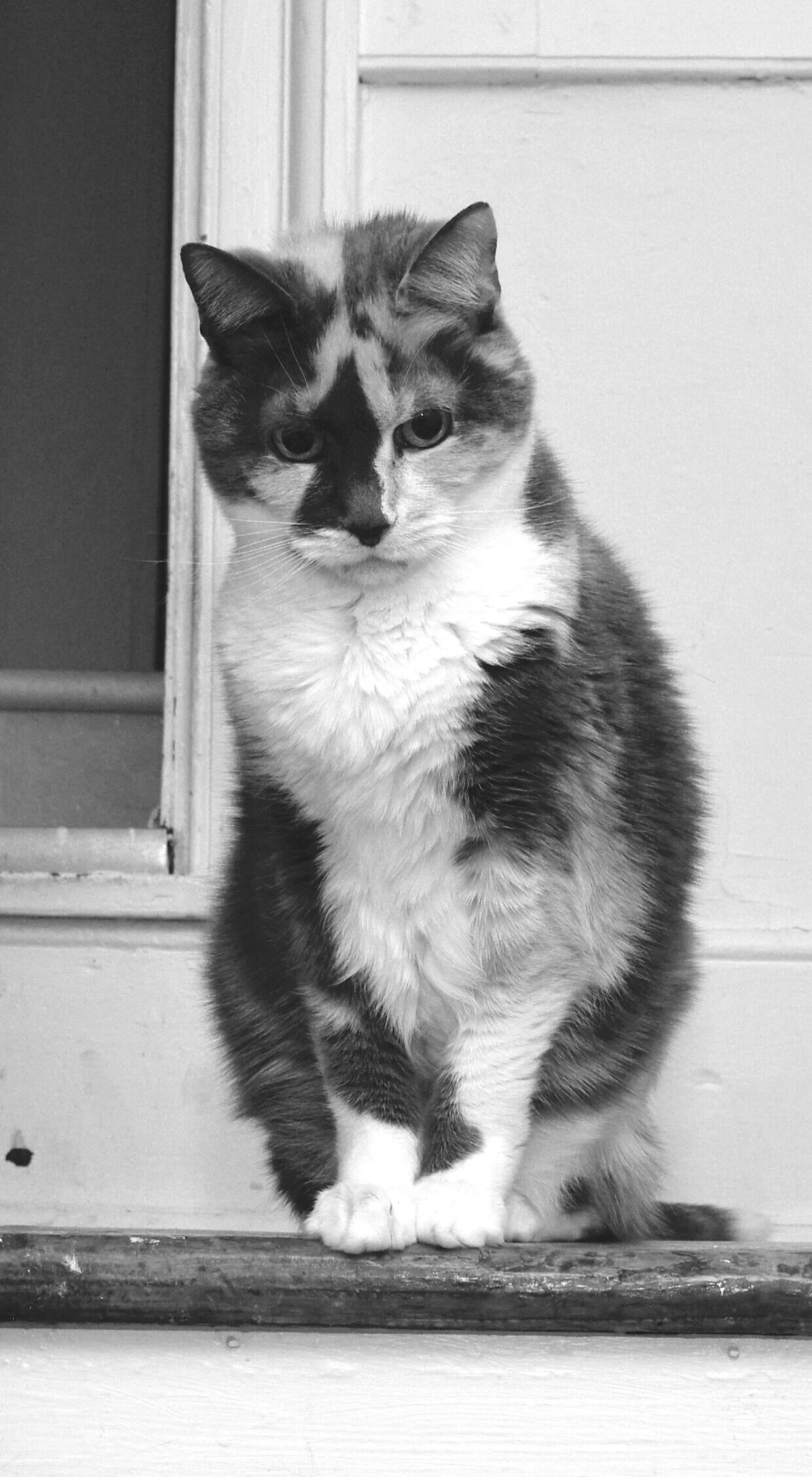 Otley looking down the stairs