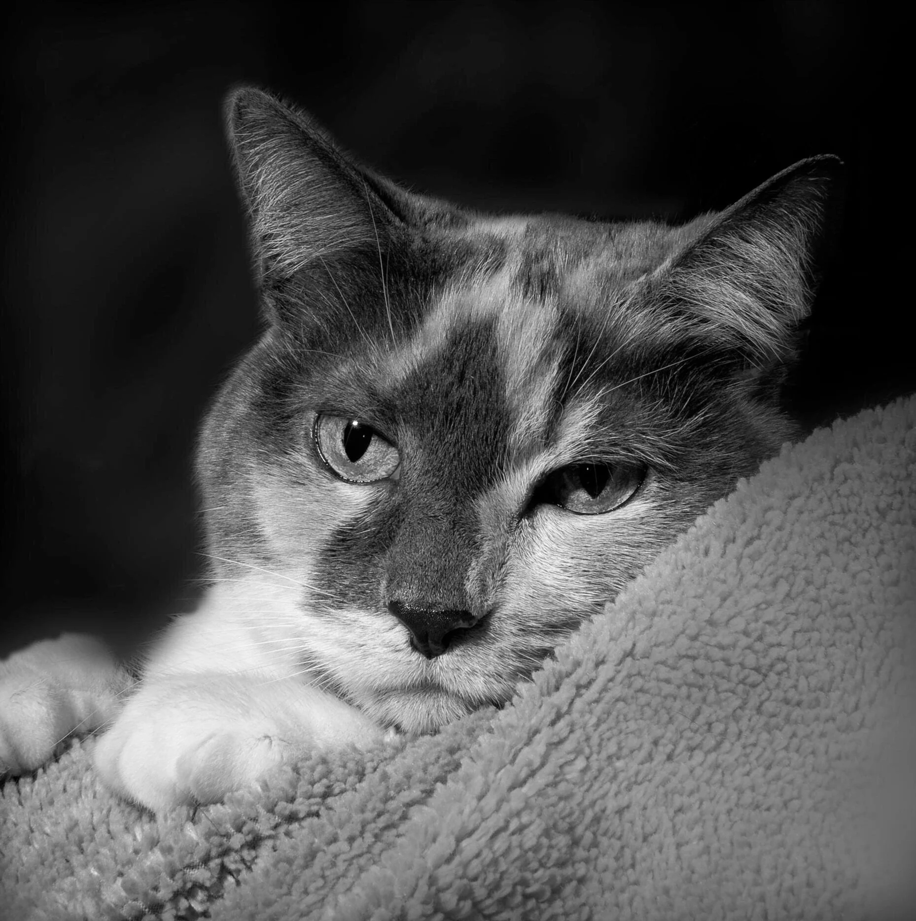 Otley formal portrait