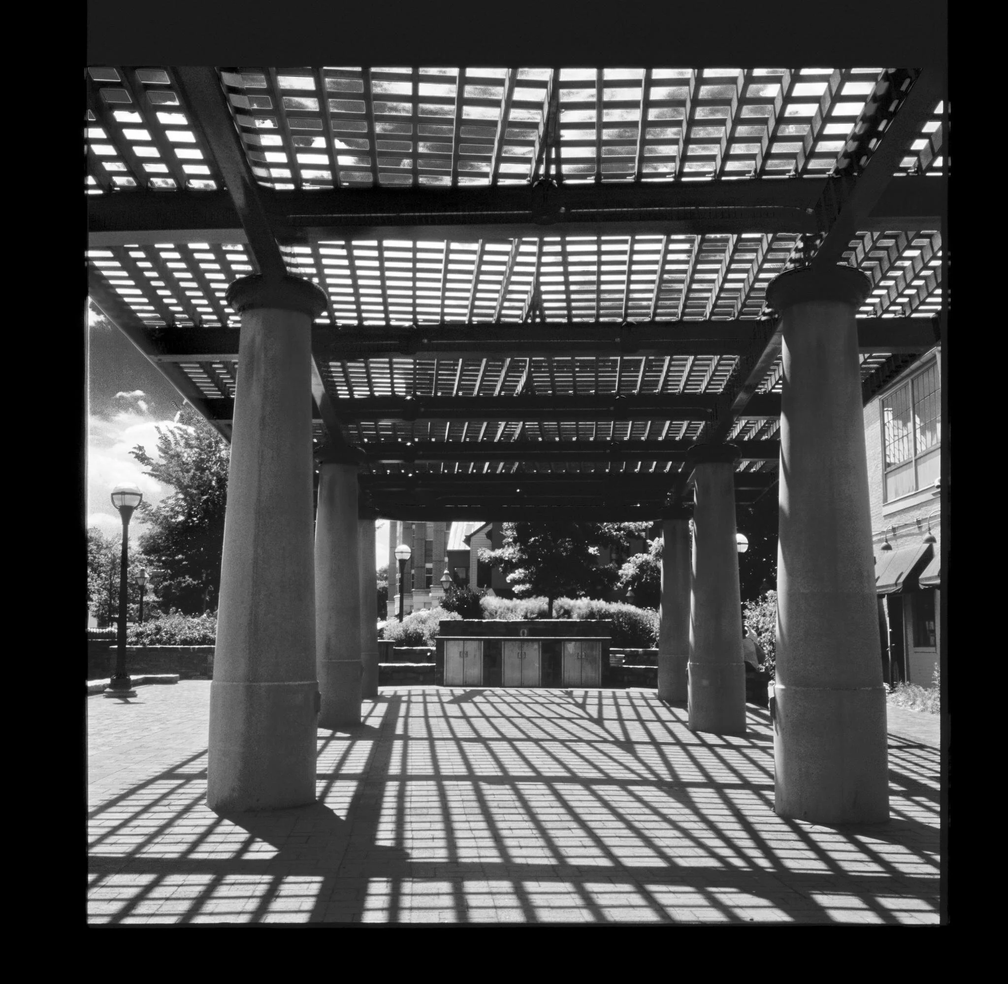 poetry of light and shadow