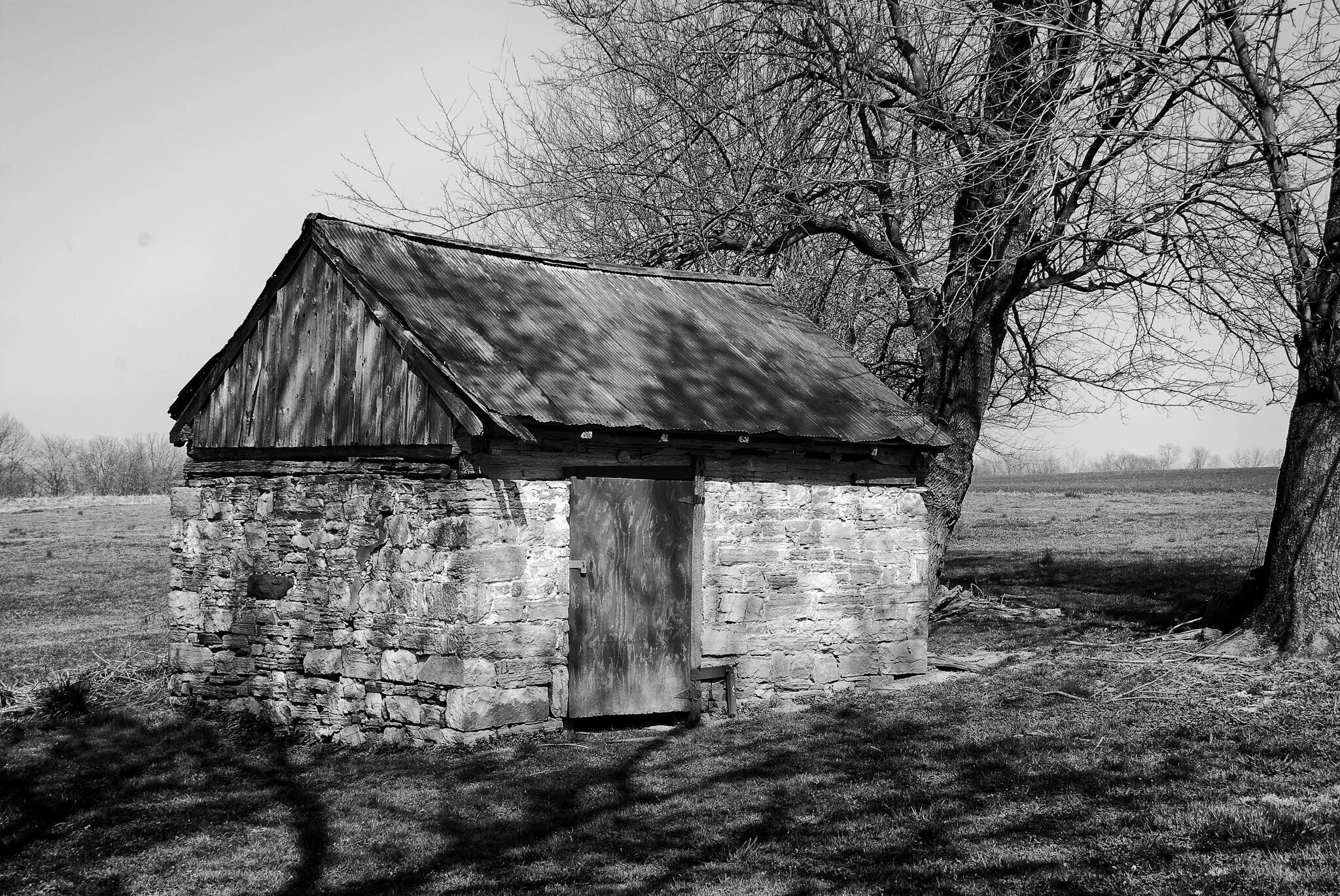 there is beauty in age