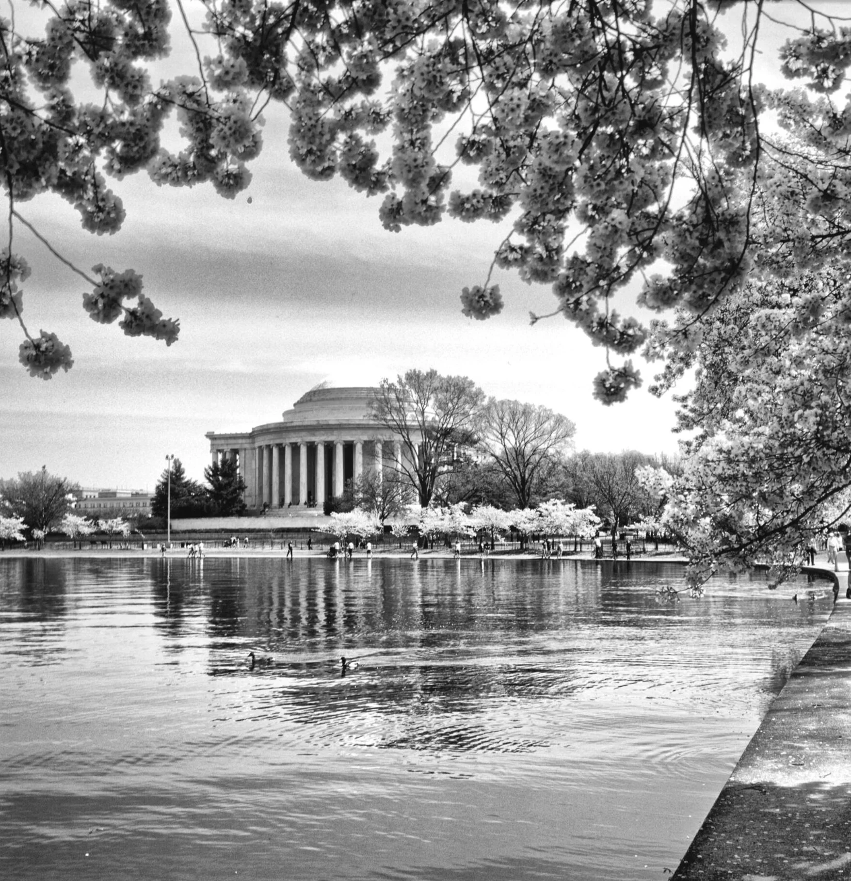 Jefferson memorial