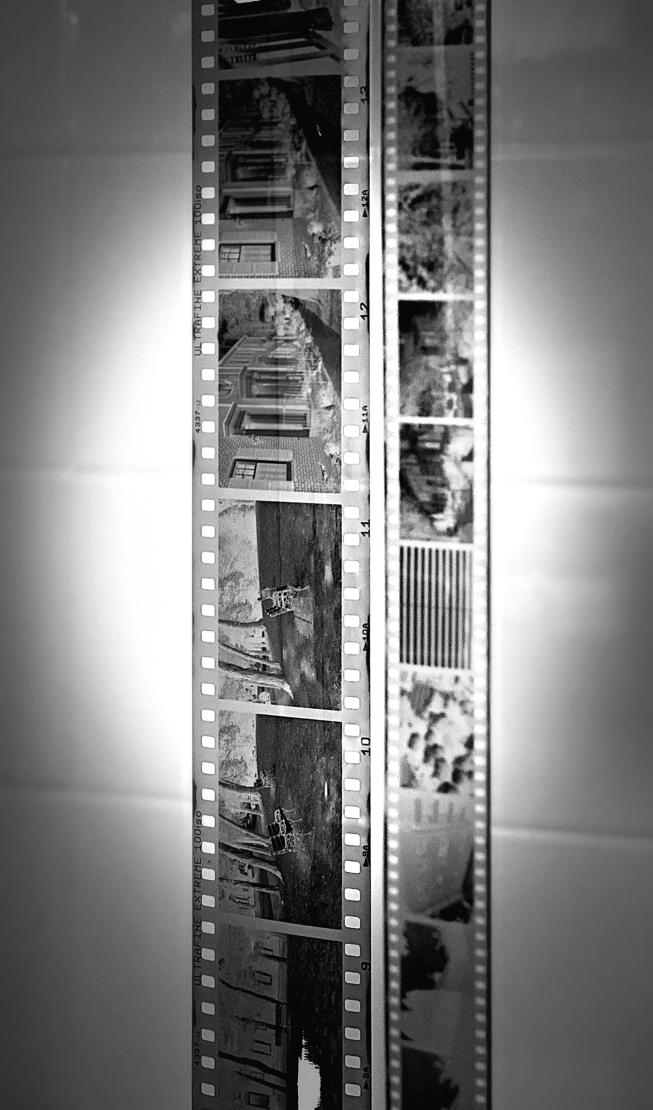 negatives drying from the darkroom