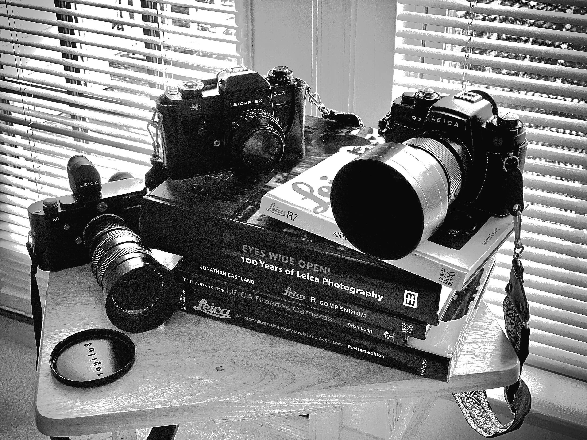 the Leica family