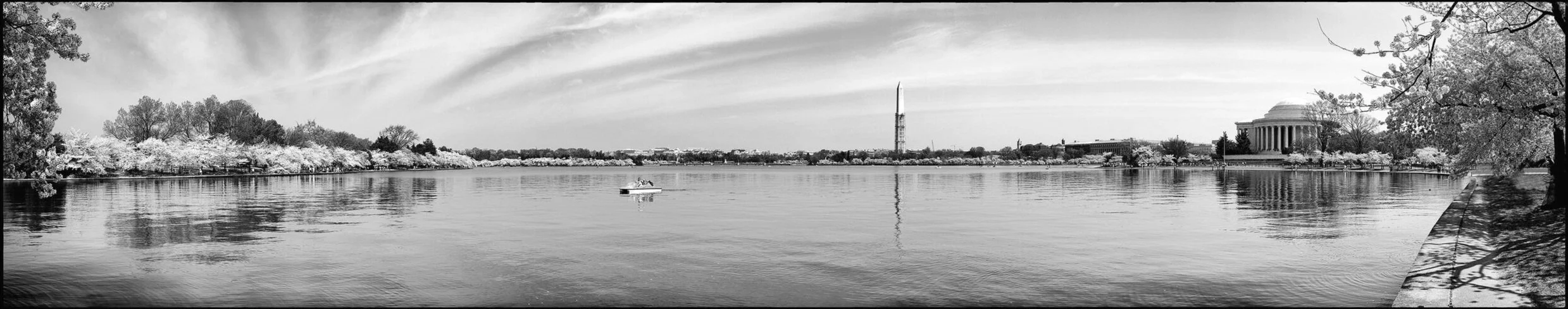 panorama of the tidal basin in DC