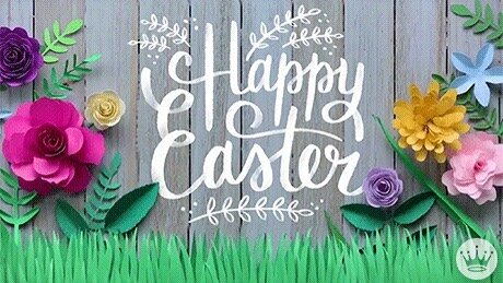 Happy Easter! 🐣🐇 #Easter #boyscoutsofamerica🇺🇸
