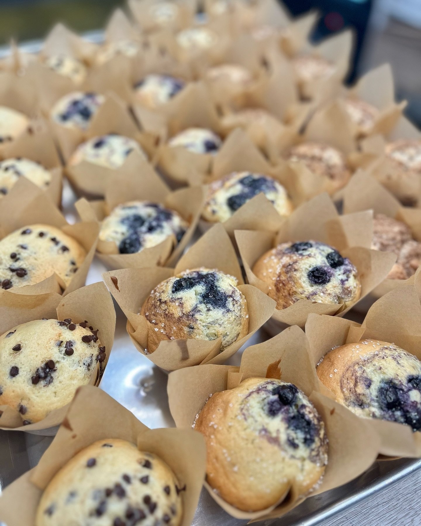 Do you know the muffin man?🫐

We are stocked with blueberry, cinnamon streusel and chocolate chip muffins this week