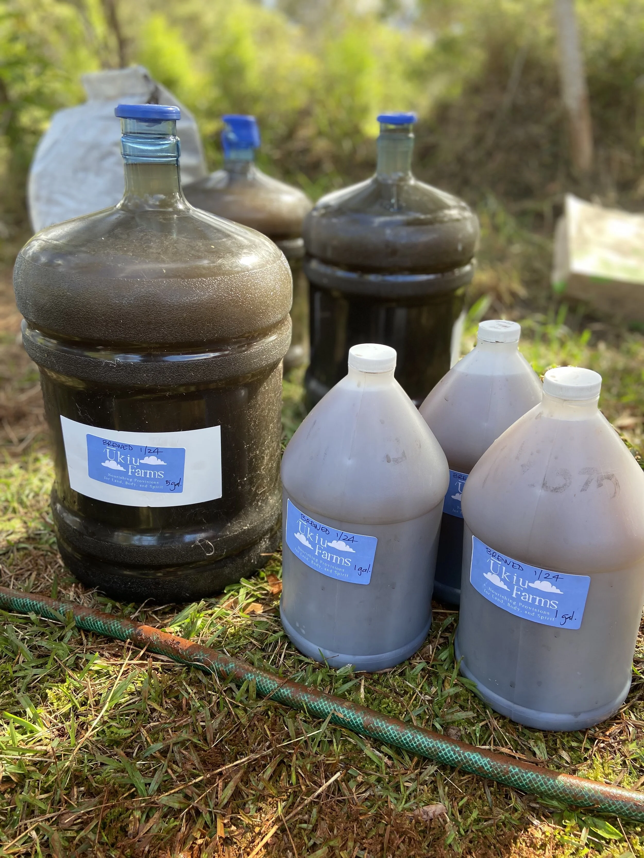 Aerated Vermicompost Tea with Living Microbes