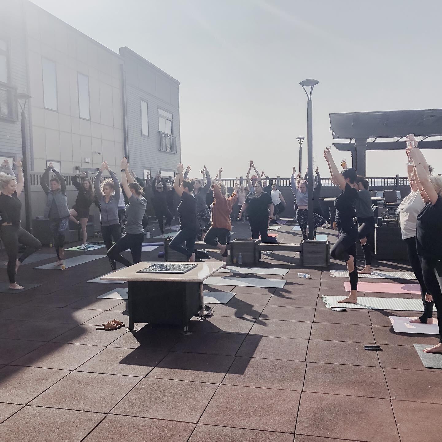 Rooftop Summer Series ✨

Come flow with @denisemh__  for  Yoga to make you sweat :: A strong vinyasa flow with a fun sequence aimed to give you a better night&rsquo;s sleep! 

Register on MindBody or message our page!