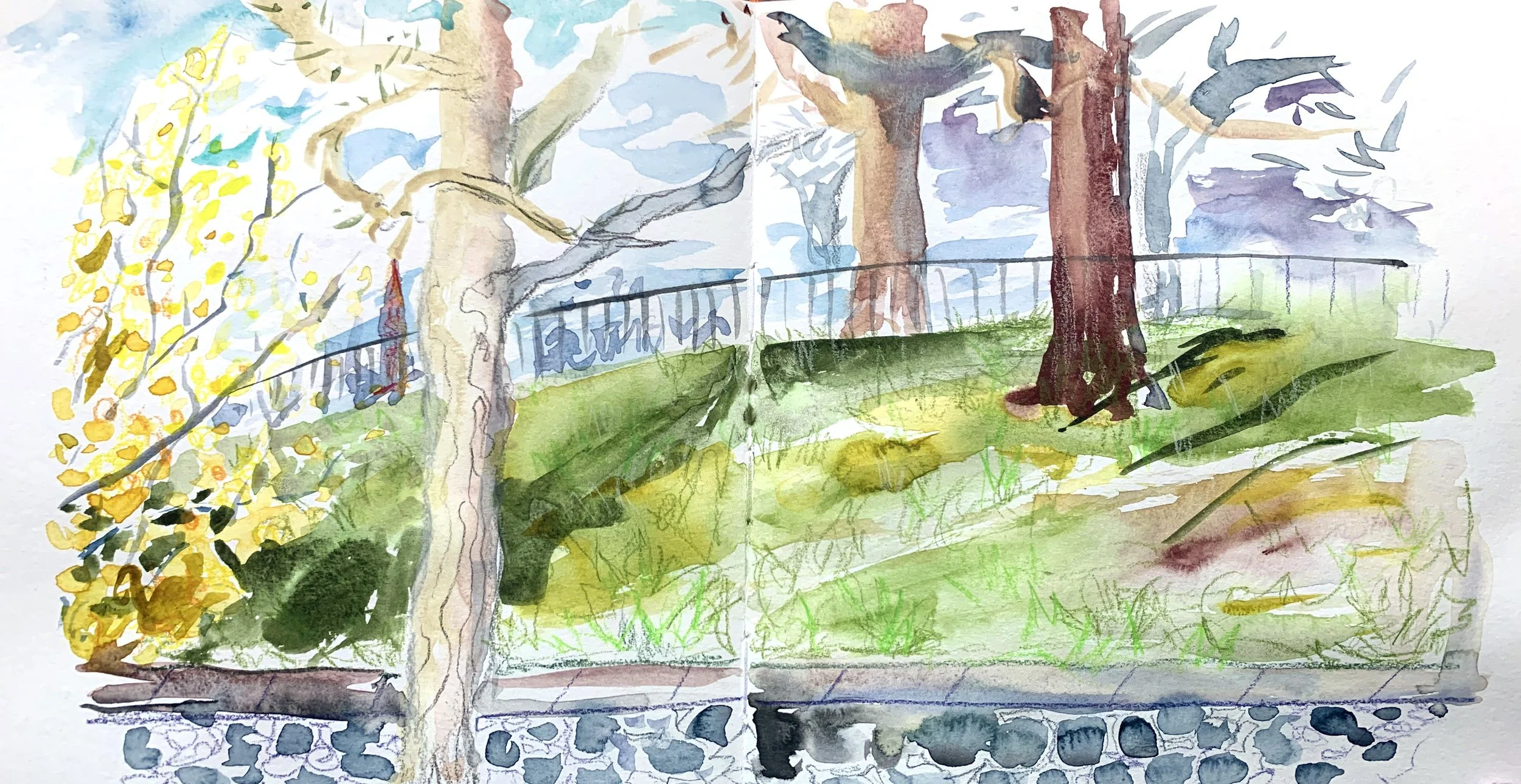 View from Home.jpg