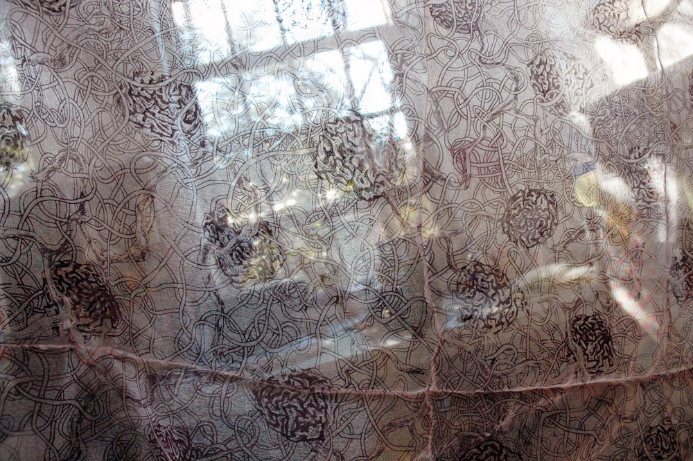 transparency pattern.JPG