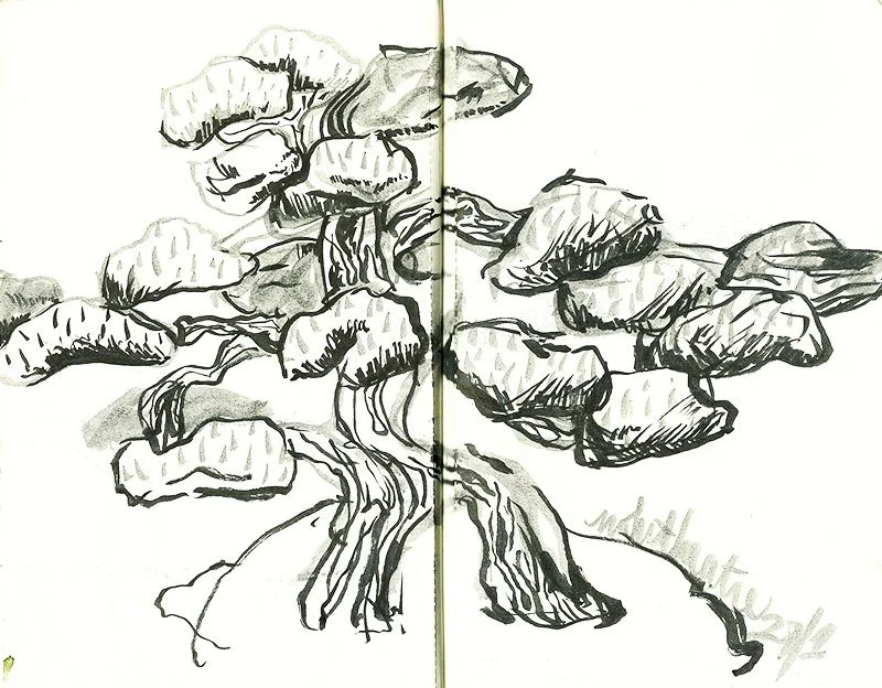 9-trees_800.jpg