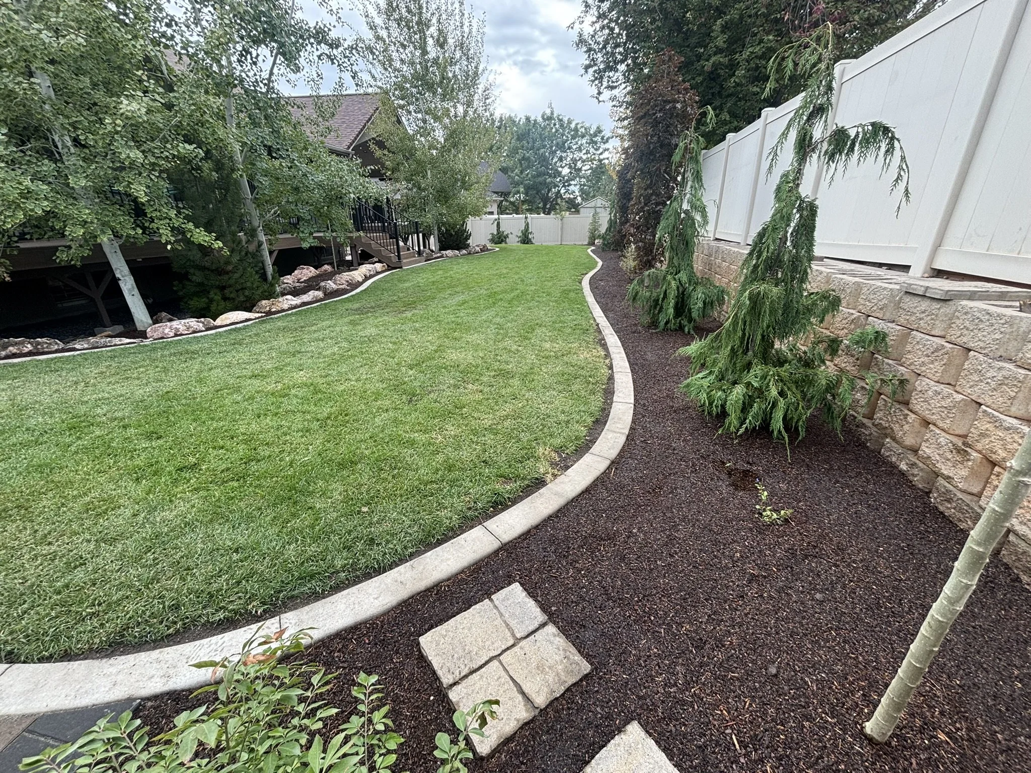 Well-maintained backyard with a green lawn, a curved concrete border, and along the edge, young evergreen trees and mulch. There is a stone pathway leading toward the back of the yard, enclosed by a white privacy fence and stone retaining wall.