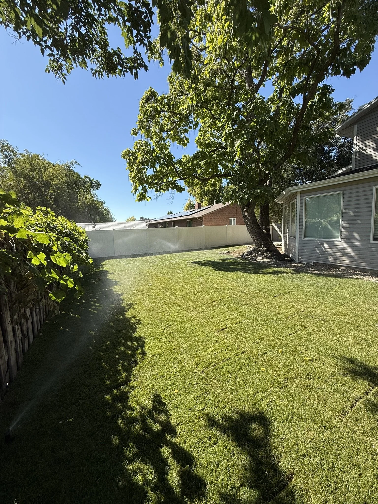 A backyard with a green lawn, a large tree providing shade near a house with gray siding and a window, a white fence in the background, and a partly cloudy blue sky overhead.