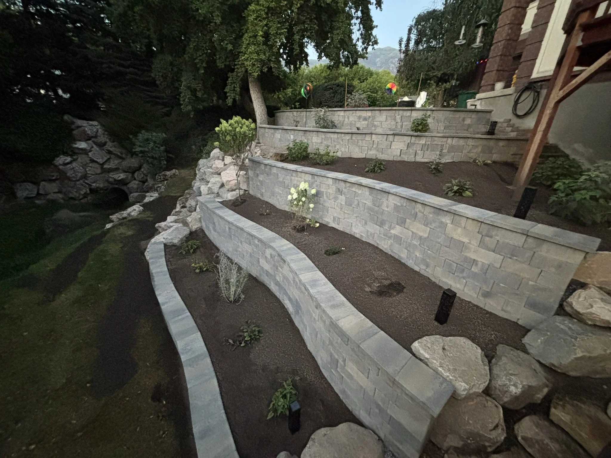 A sloped backyard with tiered stone retaining walls, planted with small shrubs and flowers, and mature trees in the background.