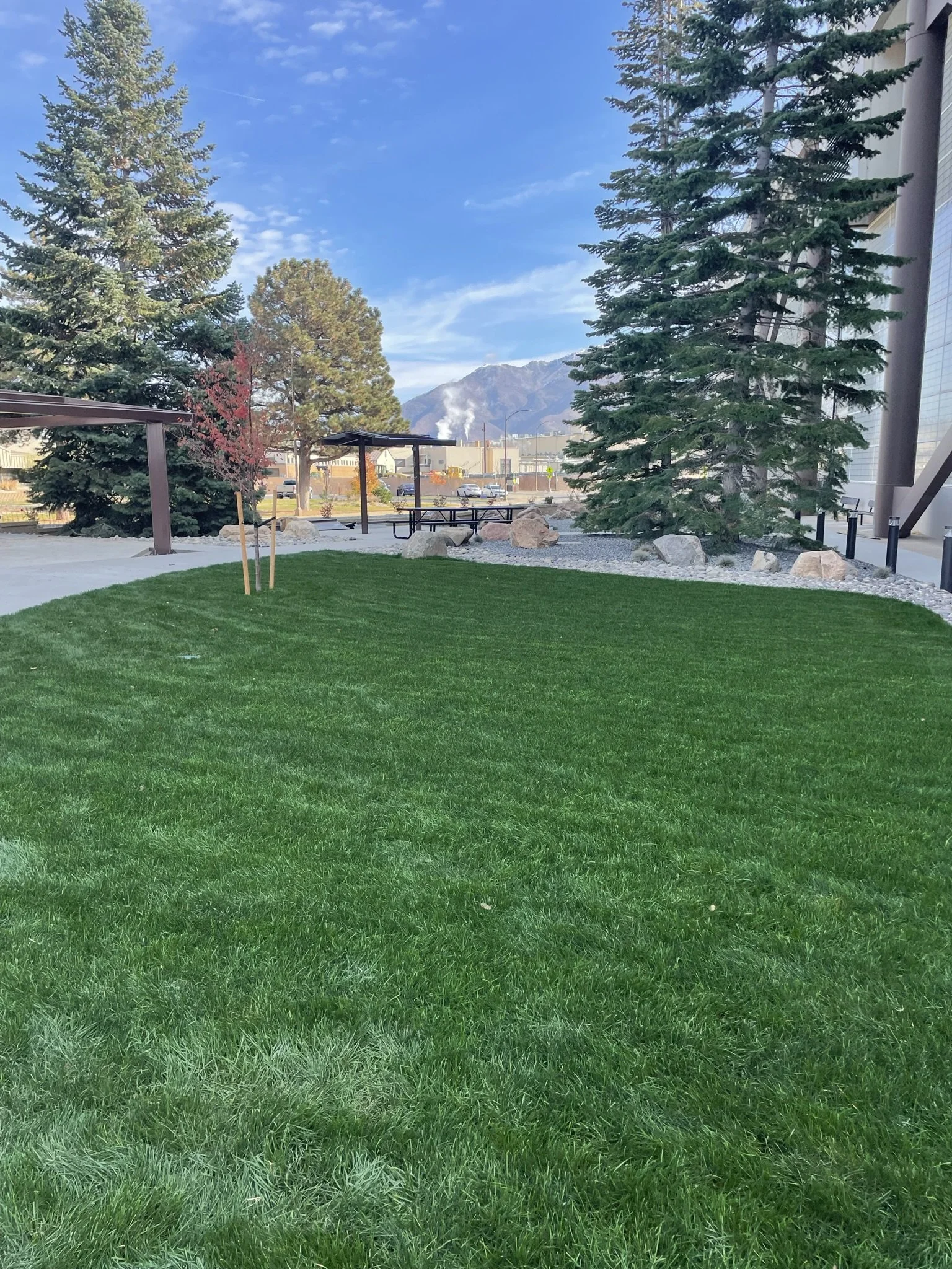 Well-maintained green grass lawn with trees, rocks, picnic tables, and a mountain in the background on a clear, sunny day.