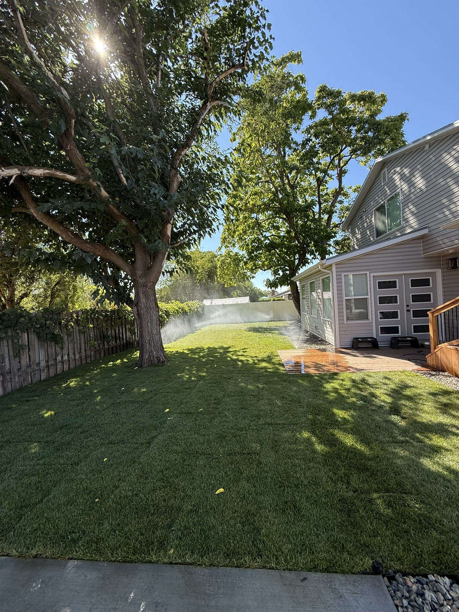 Sprinklers & Sod Install