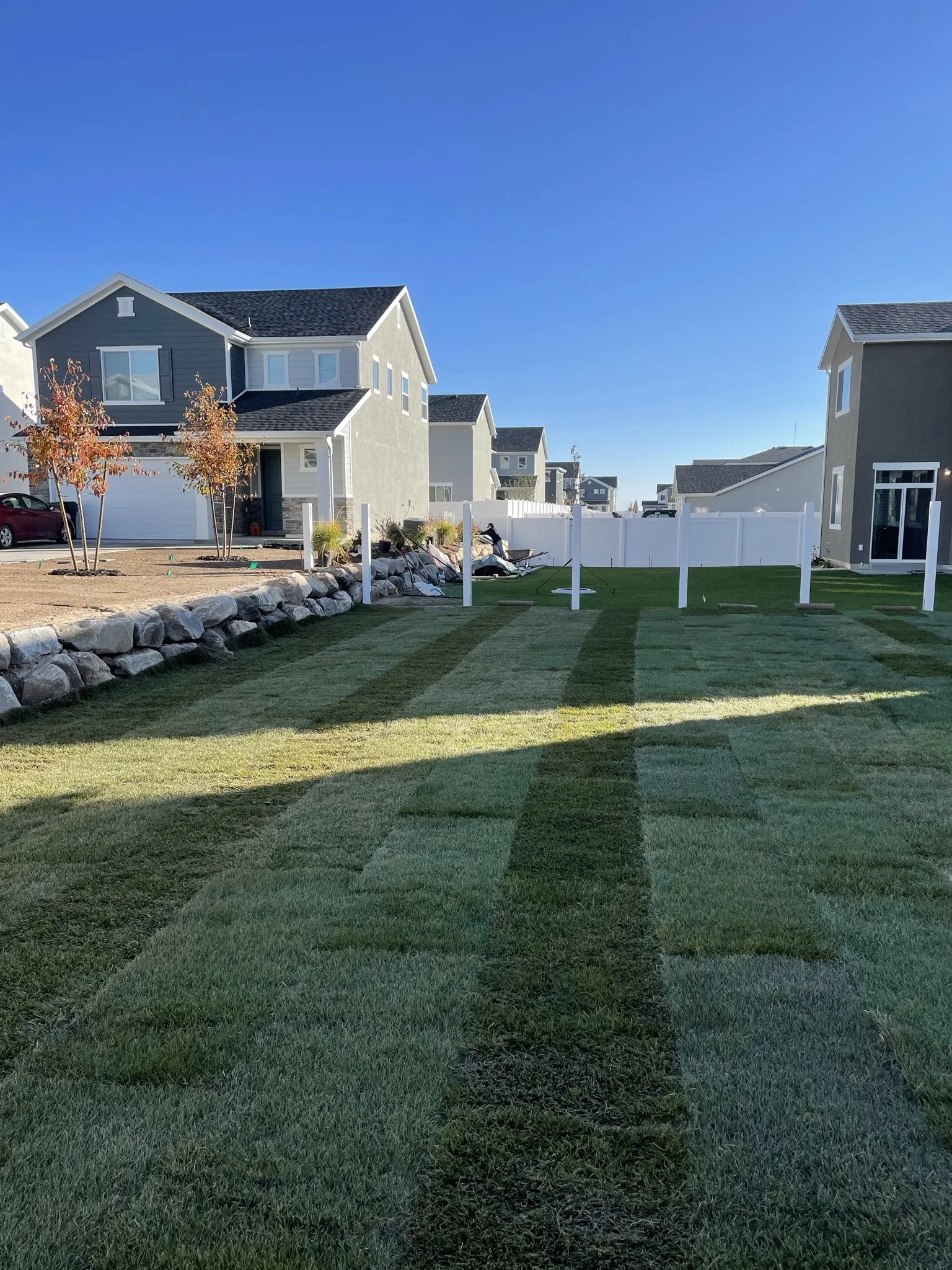 A residential backyard with freshly laid sod in a striped pattern, surrounded by houses, trees, and a clear blue sky.