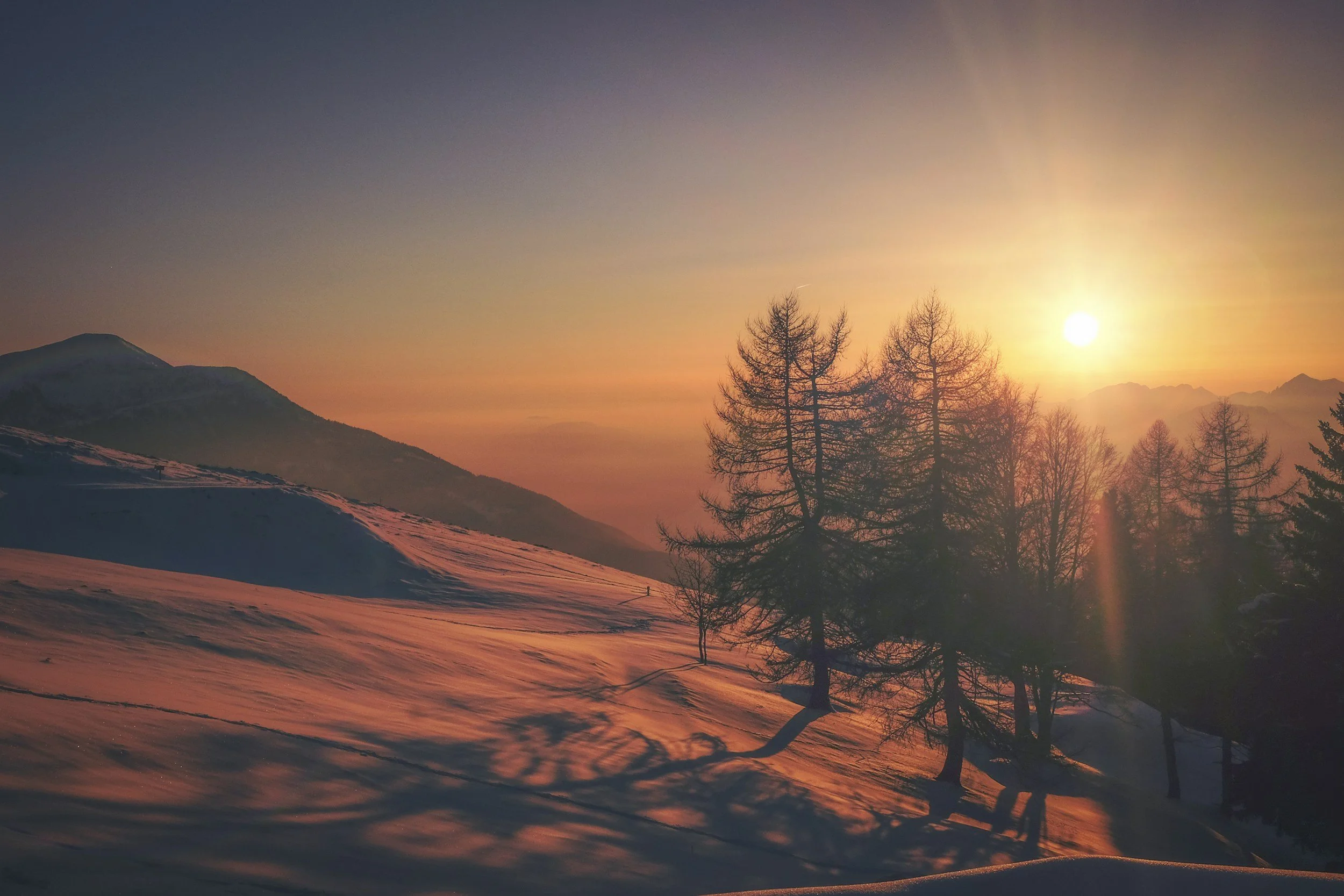 snow covered hill with barren trees and mountain in the background
