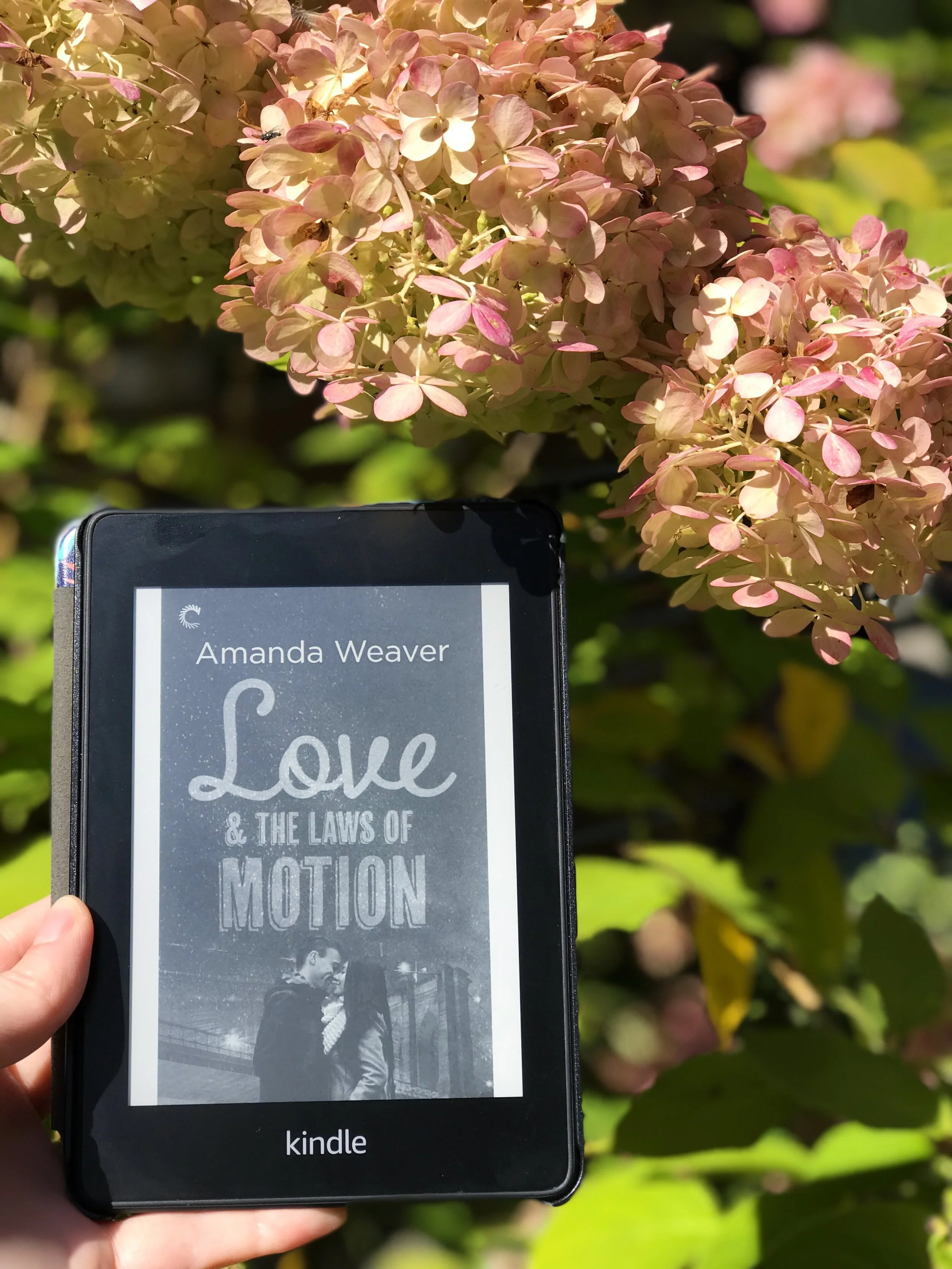 Review: Love and the Laws of Motion by Amanda Weaver