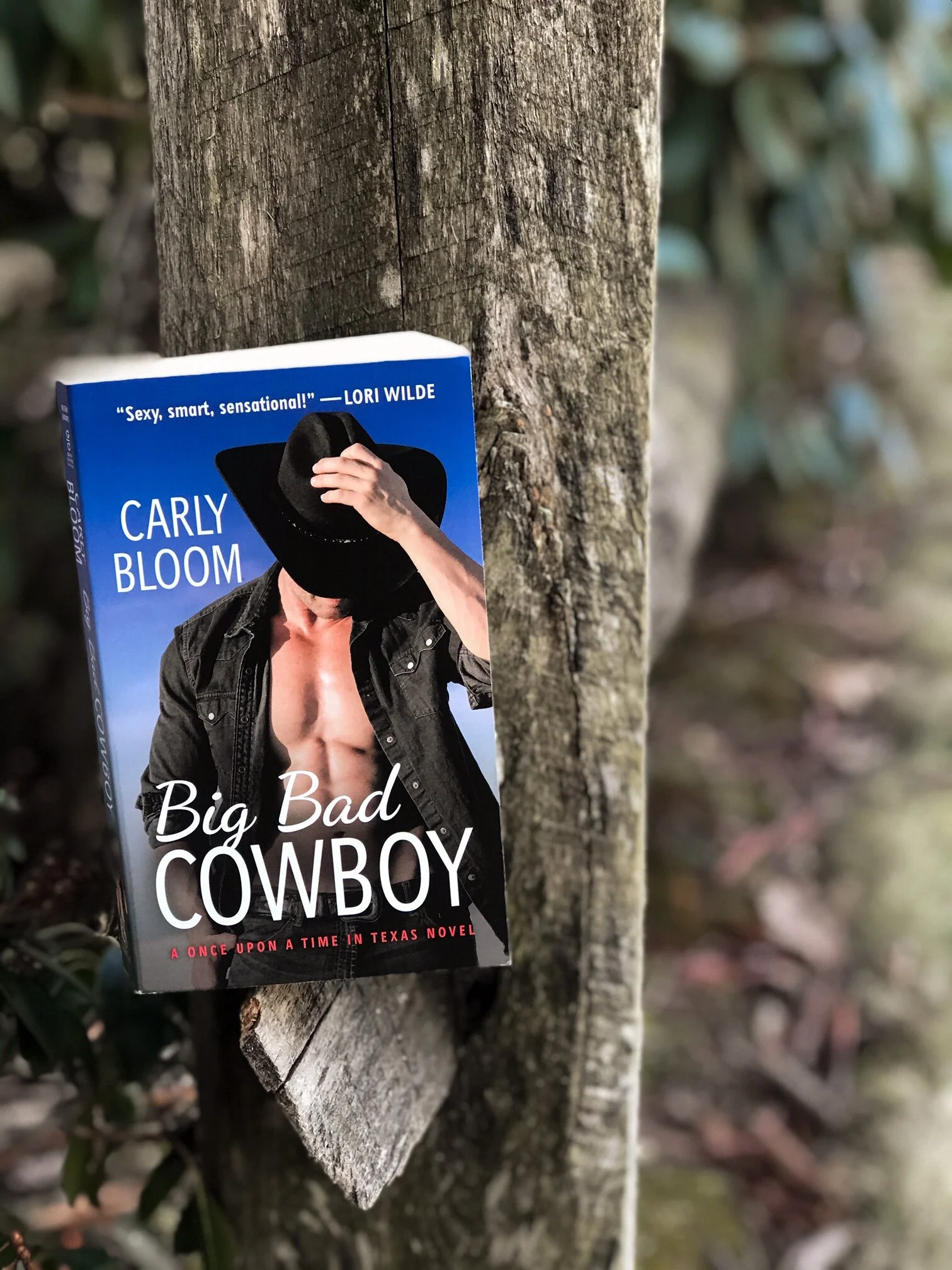 Review - Big Bad Cowboy by Carly Bloom