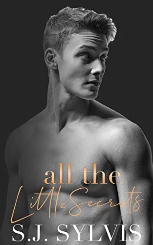 Review &amp; Excerpt - All the Little Secrets by S.J. Sylvis