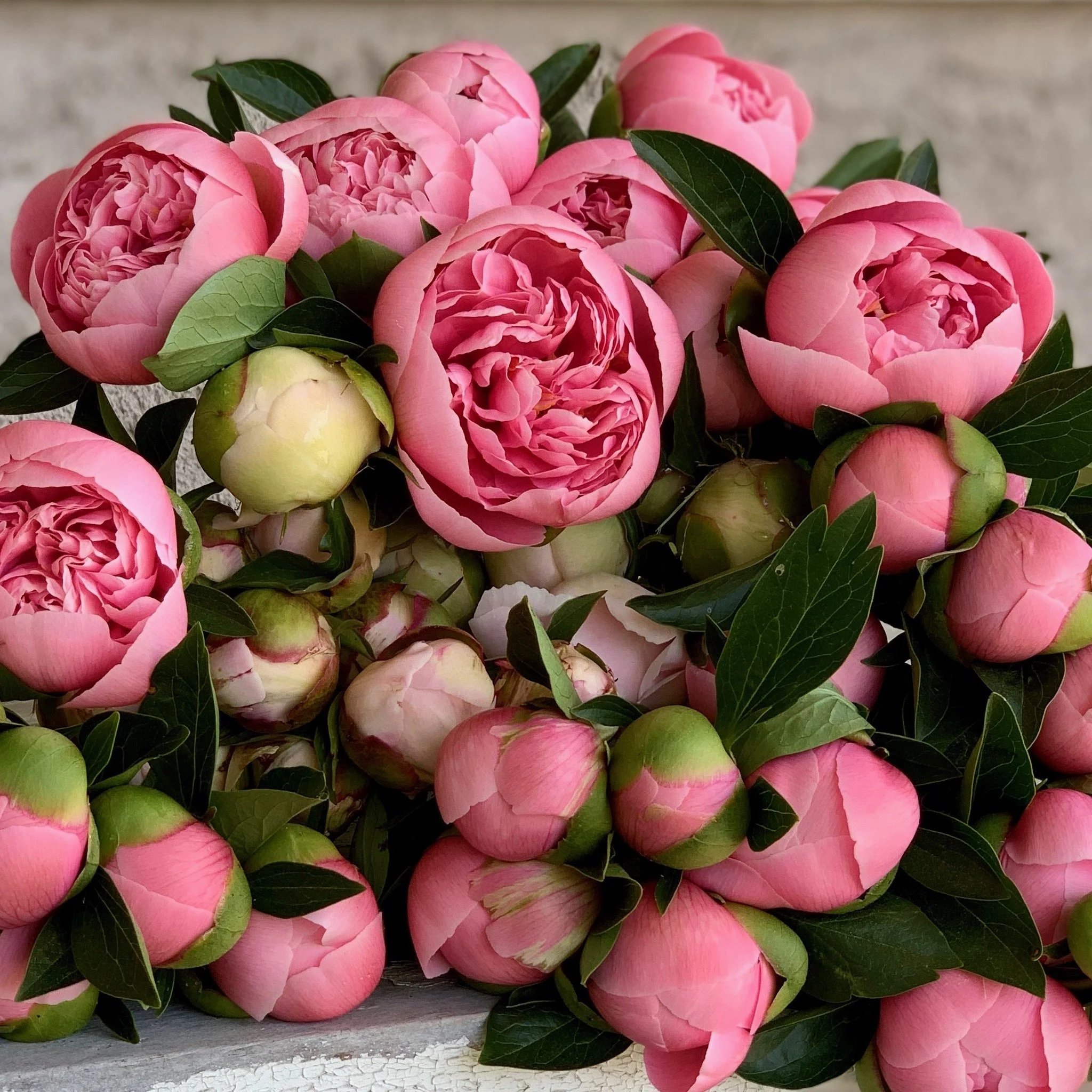 PORTFOL_FT - 63.jpeg